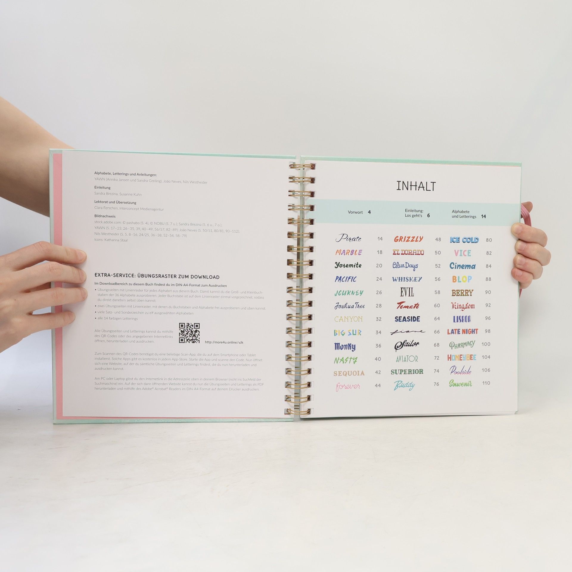 Auteurscollectief Handlettering Ideenbuch Alphabete & Schriften