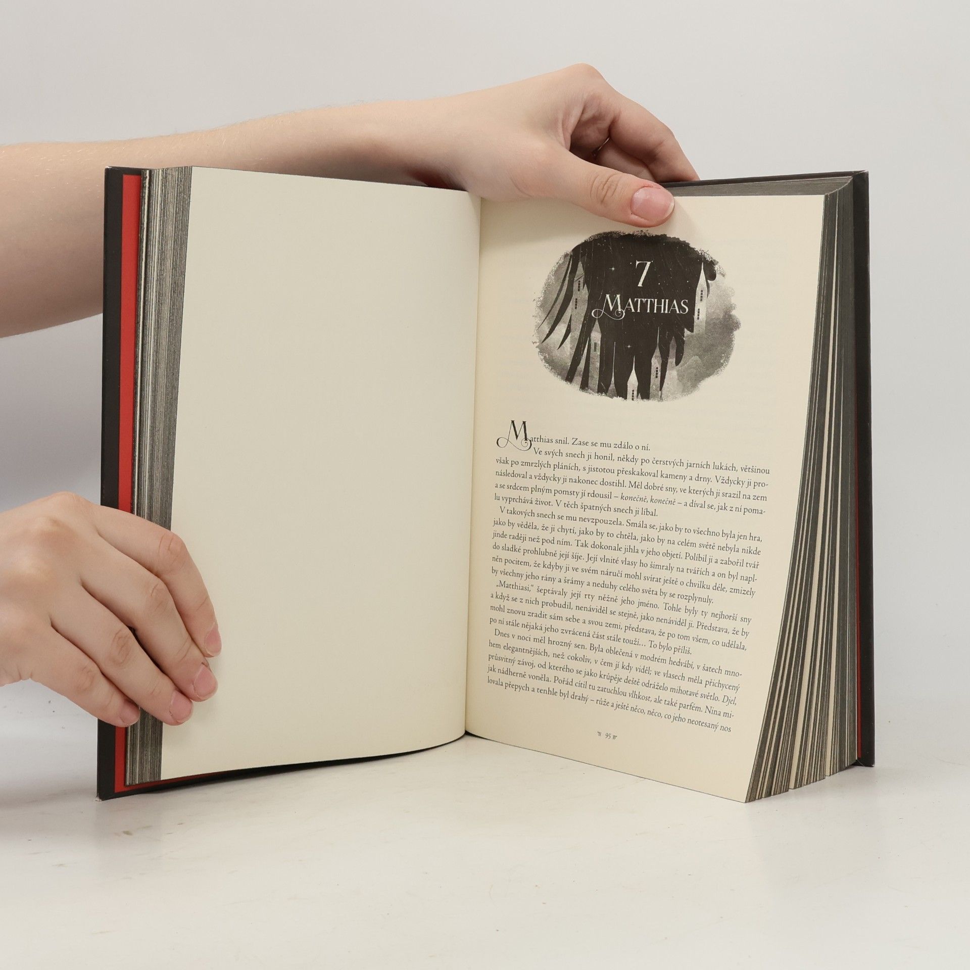 Leigh Bardugo Šest vran