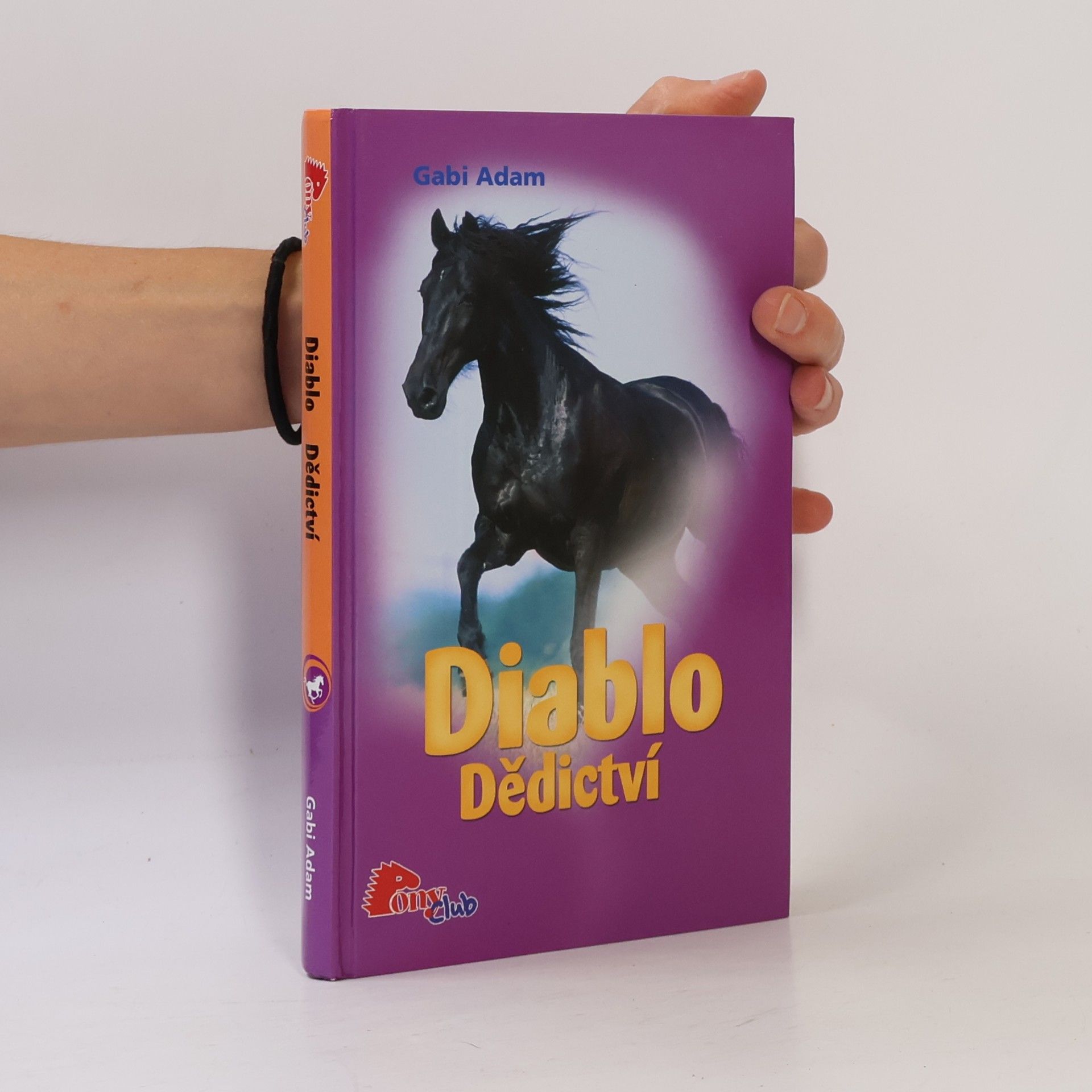 Gabi Adam Diablo. Dědictví
