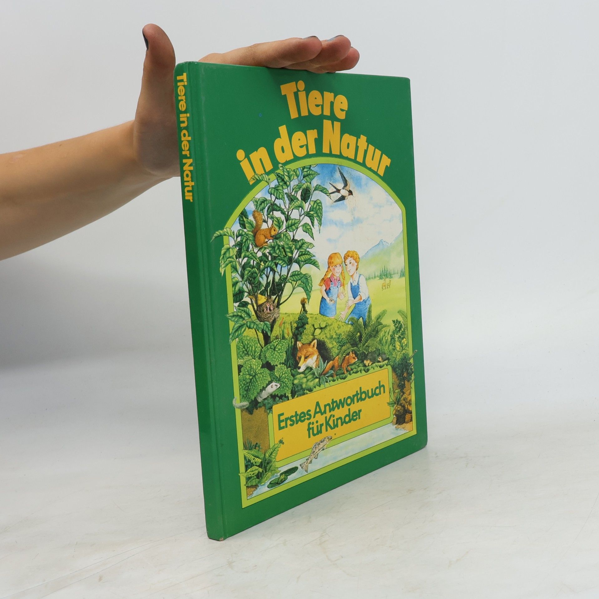 Autorenkollektiv Tiere in der Natur