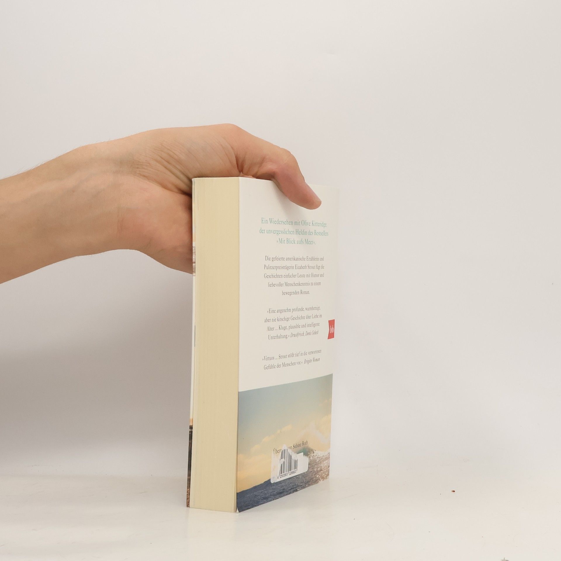 Elizabeth Strout Die langen Abende