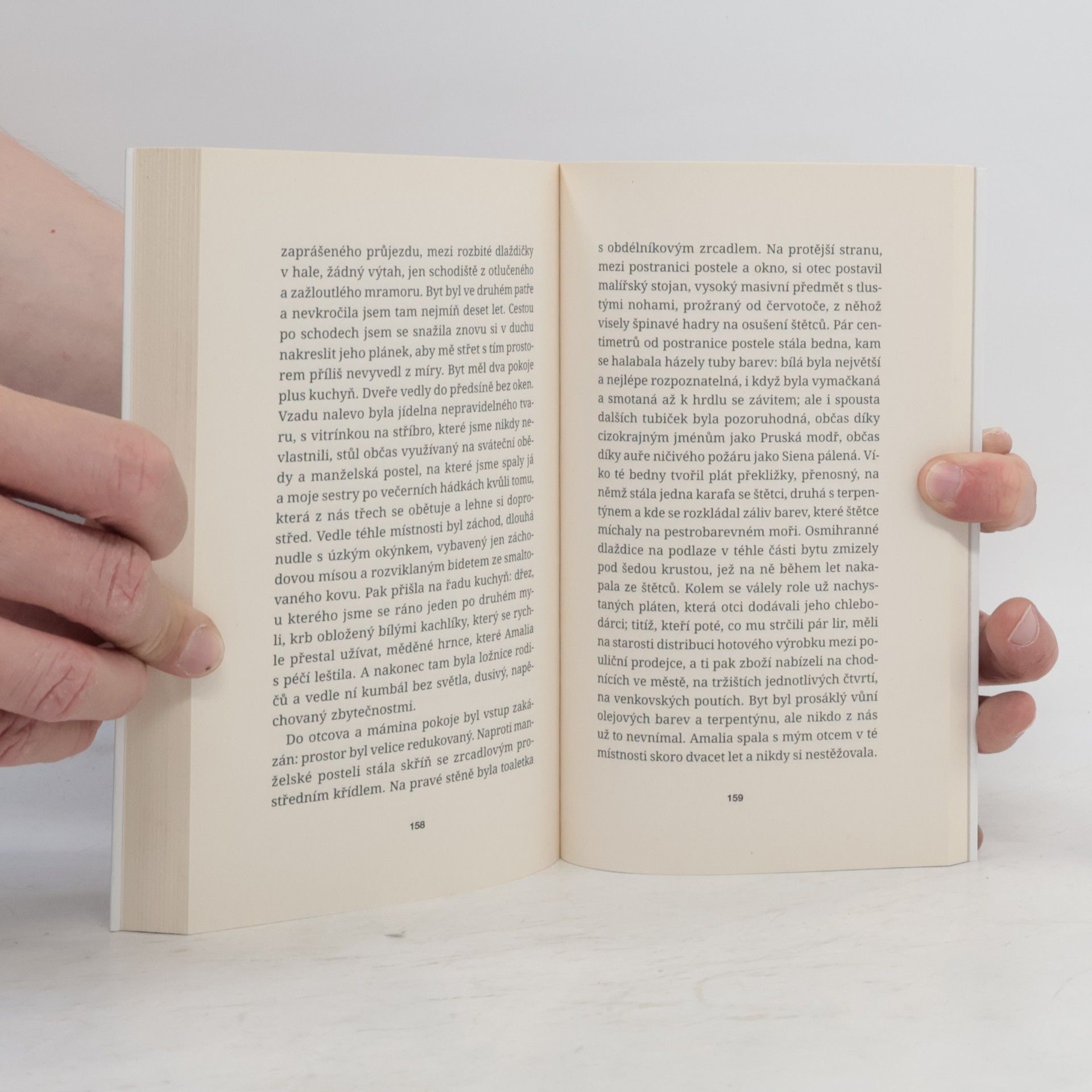 Elena Ferrante Tíživá láska