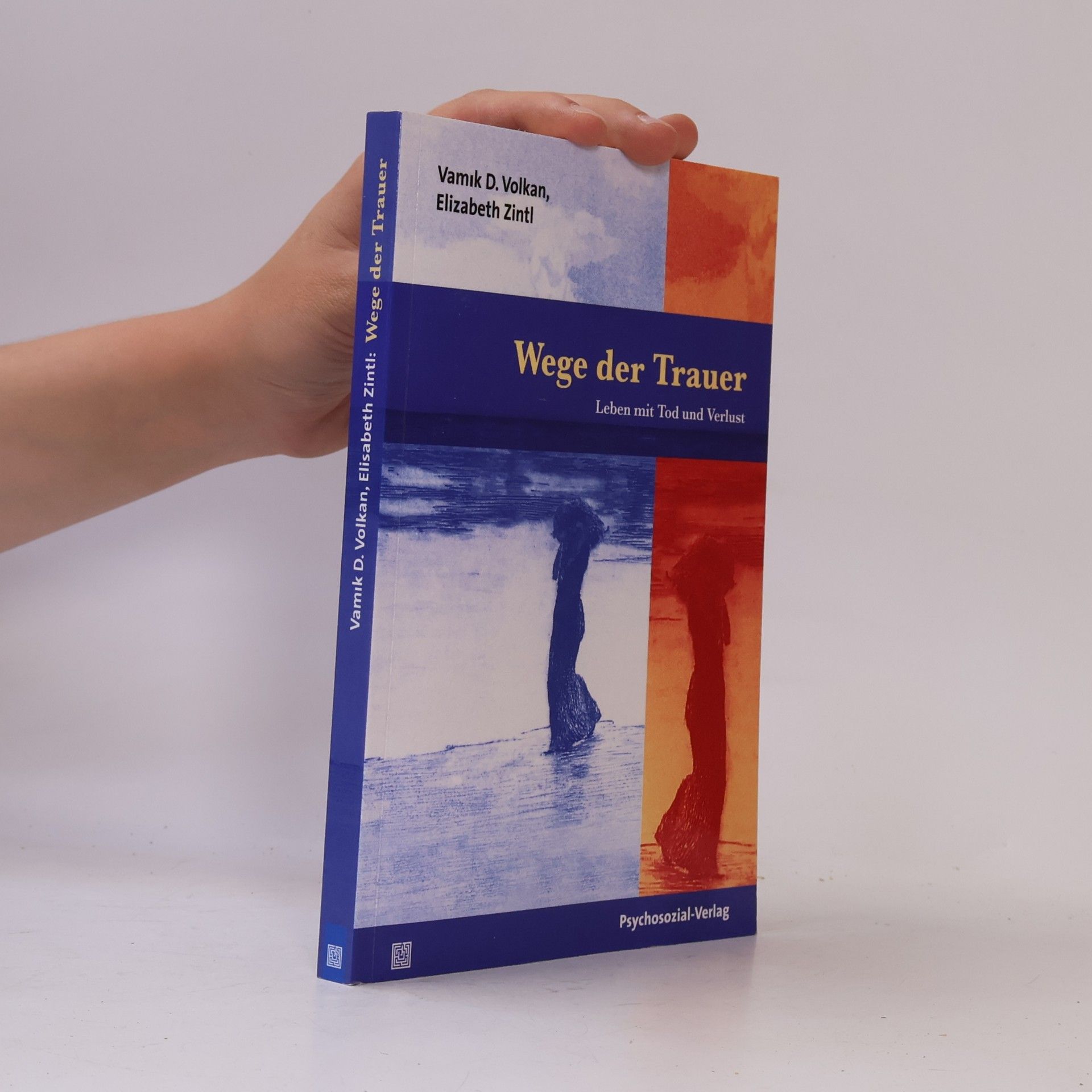 Vamık Volkan Wege der Trauer