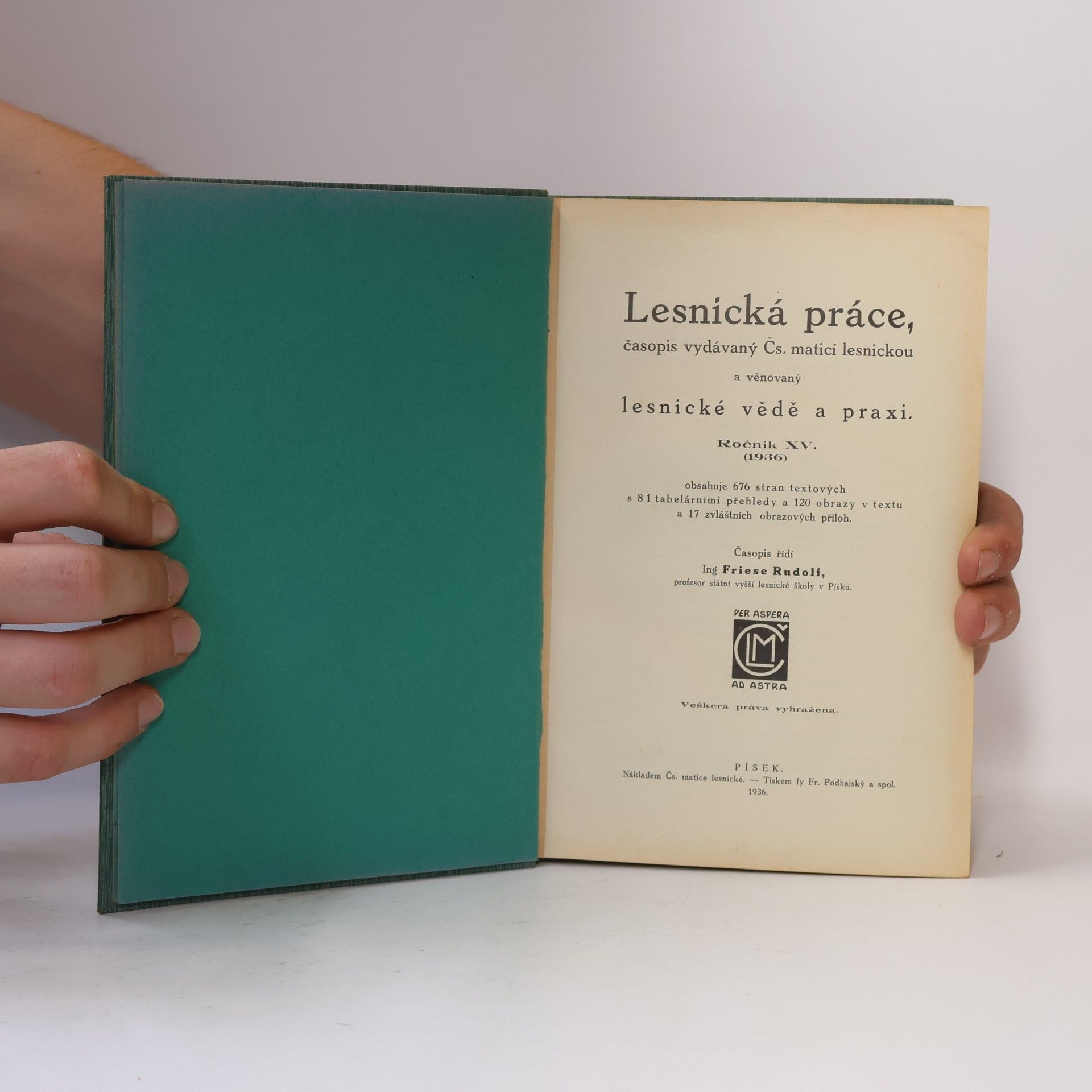 Friese Rudolf Lesnická práce