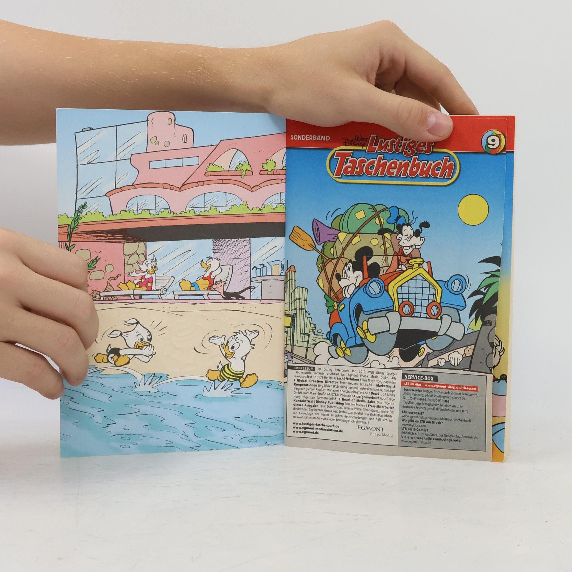 Walt Disney Lustiges Taschenbuch 9. Sommergeschichten