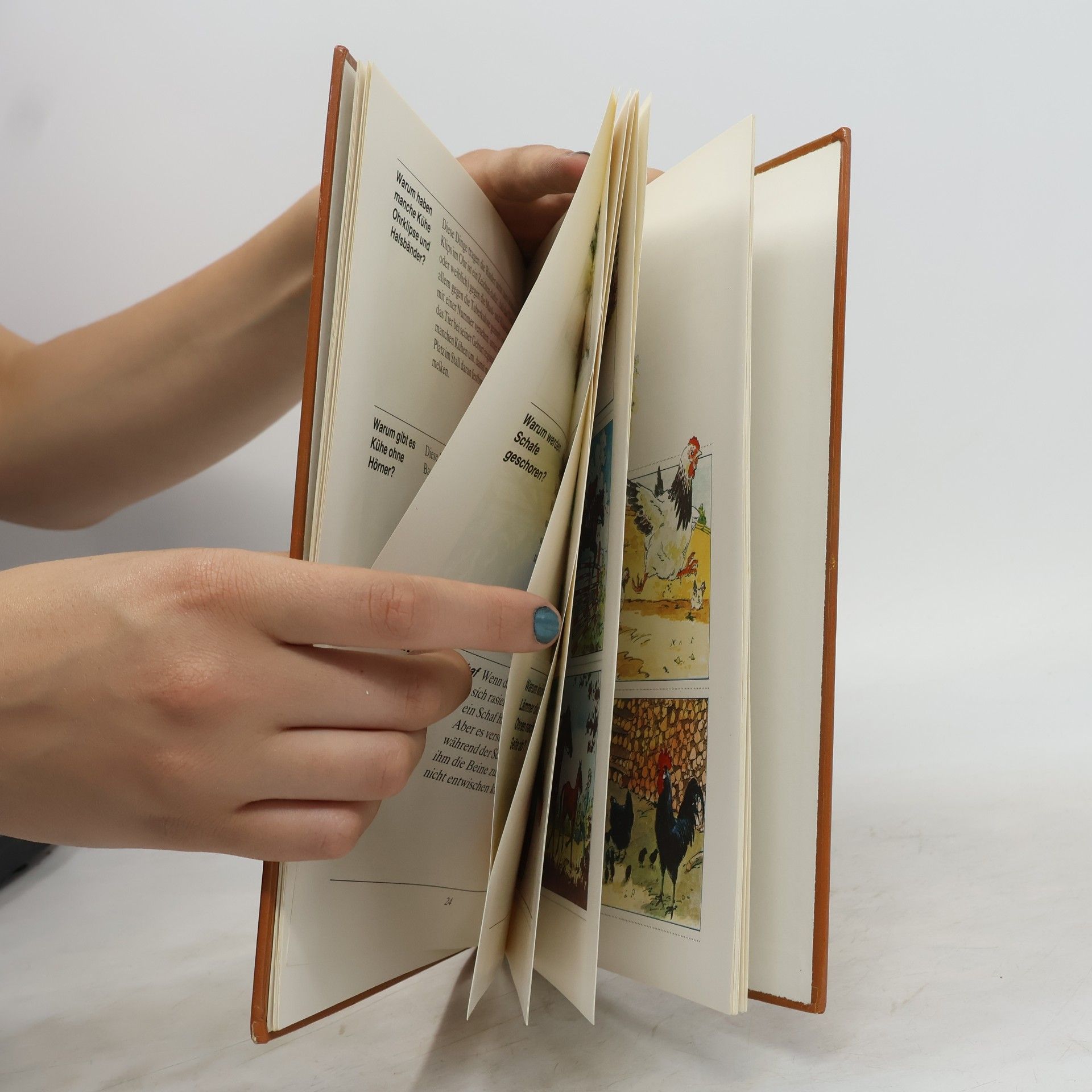 Various authors Tiere auf dem Bauernhof. Erstes Sntwortbuch für Kinder