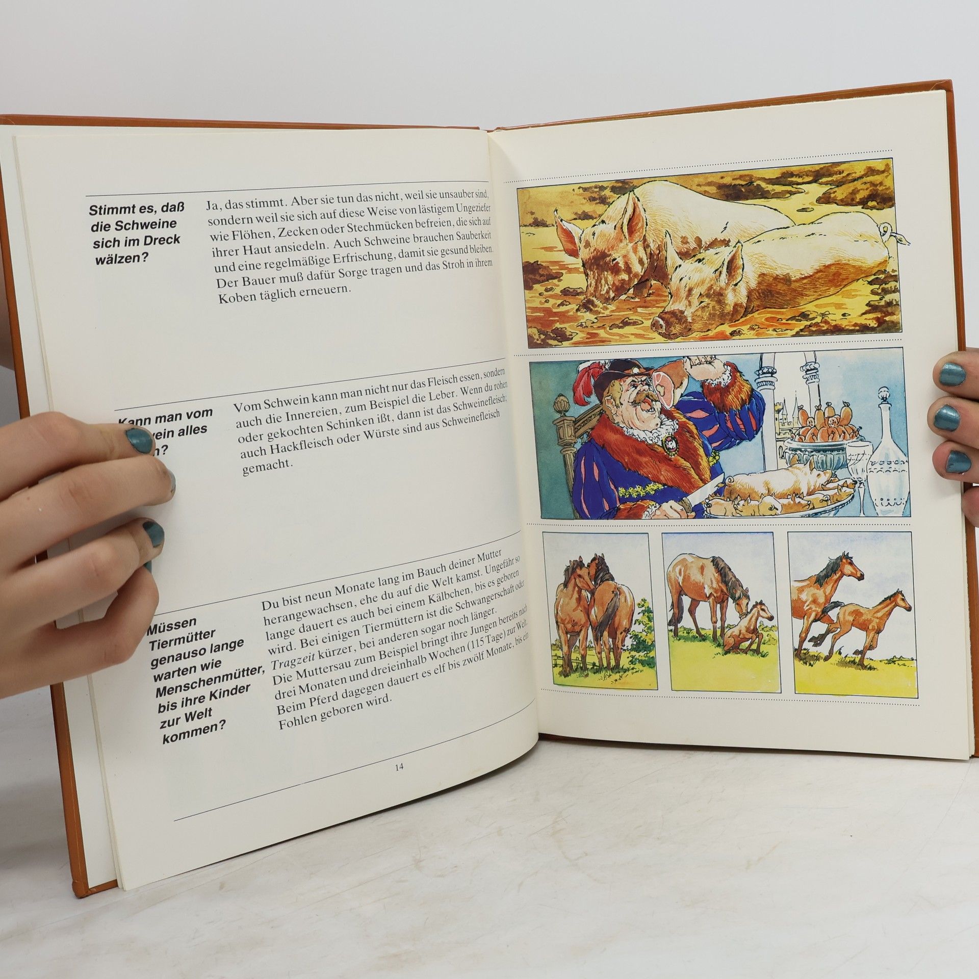 Various authors Tiere auf dem Bauernhof. Erstes Sntwortbuch für Kinder