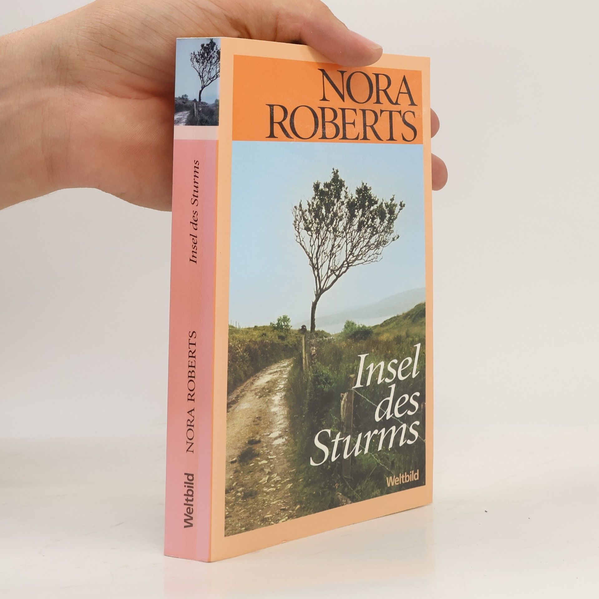 Nora Roberts Insel des Sturms