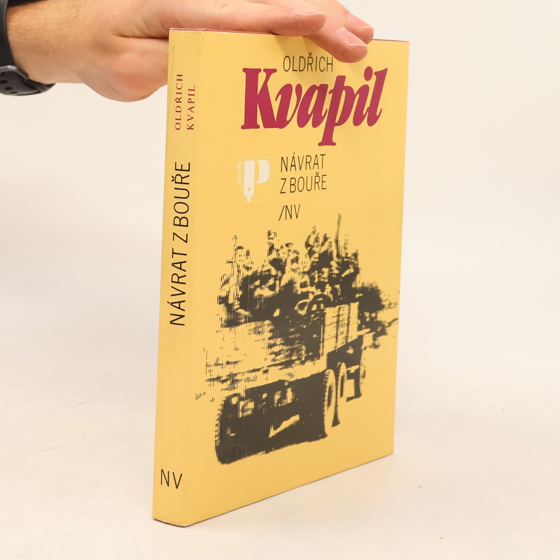 Oldřich Kvapil Návrat z bouře
