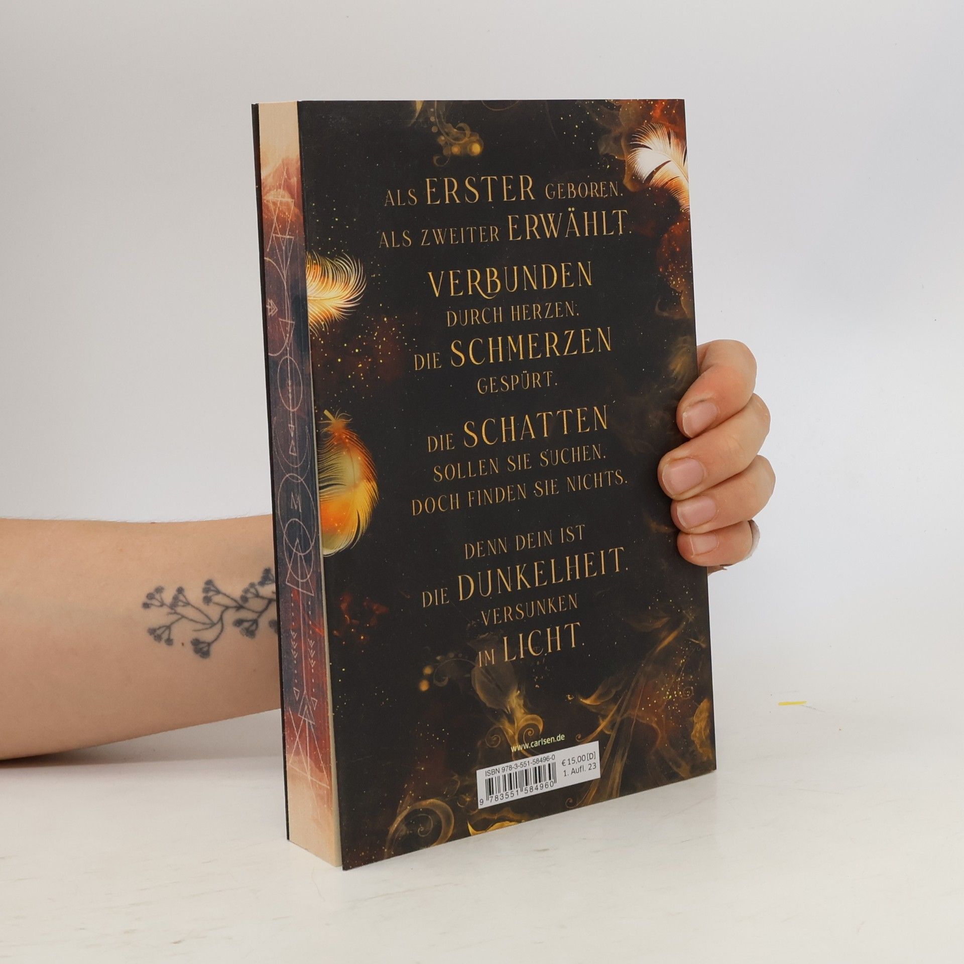 Dana Müller-Braun Fallen Kingdom 2: Zerbrochene Wahrheit