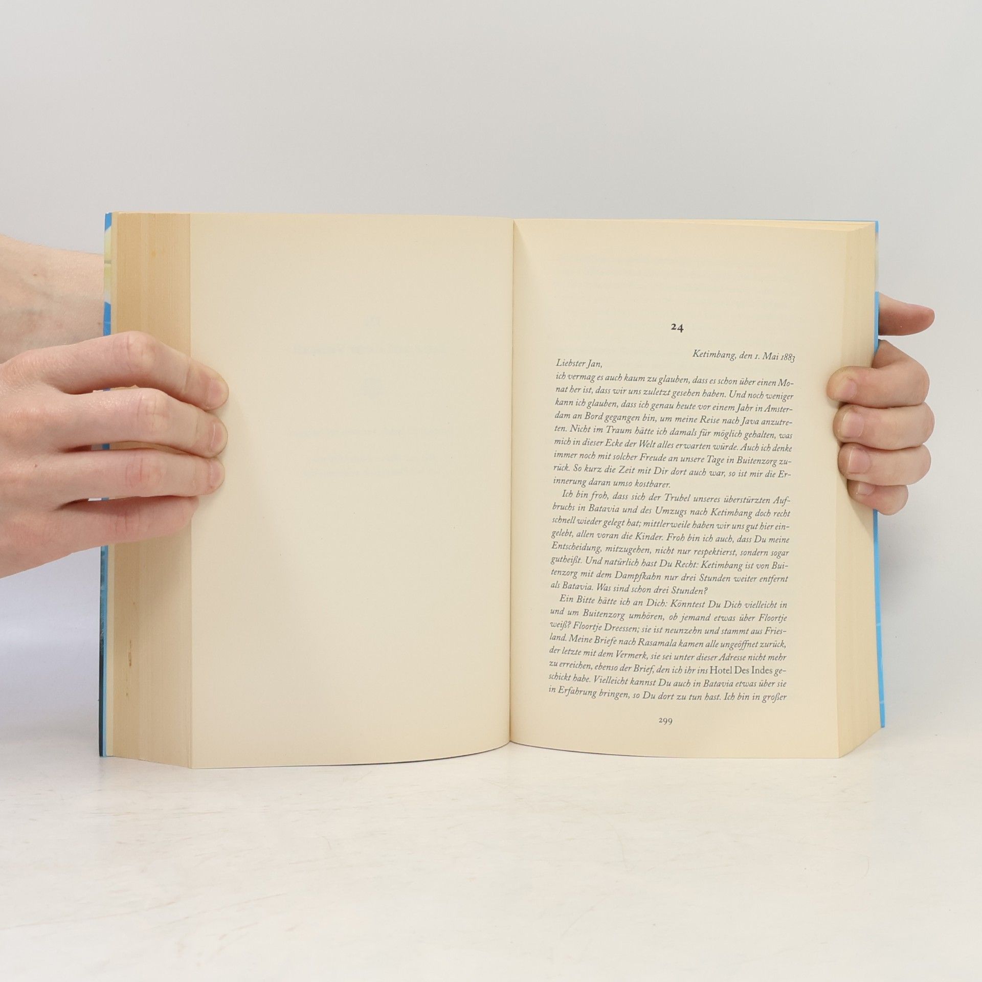 Nicole C. Vosseler Das Herz der Feuerinsel