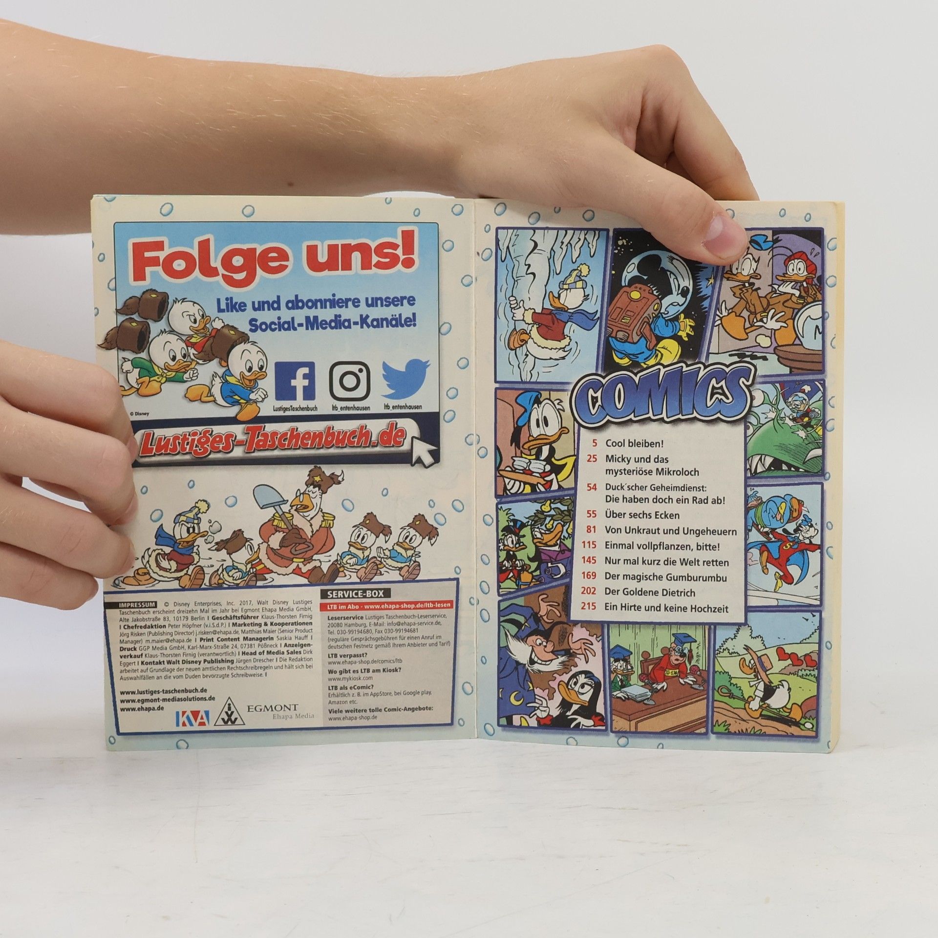 Walt Disney Lustiges Taschenbuch 490