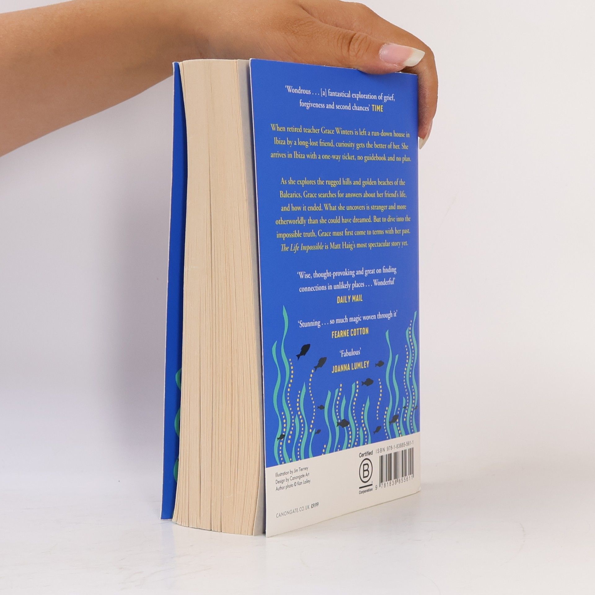 Matt Haig The Life Impossible