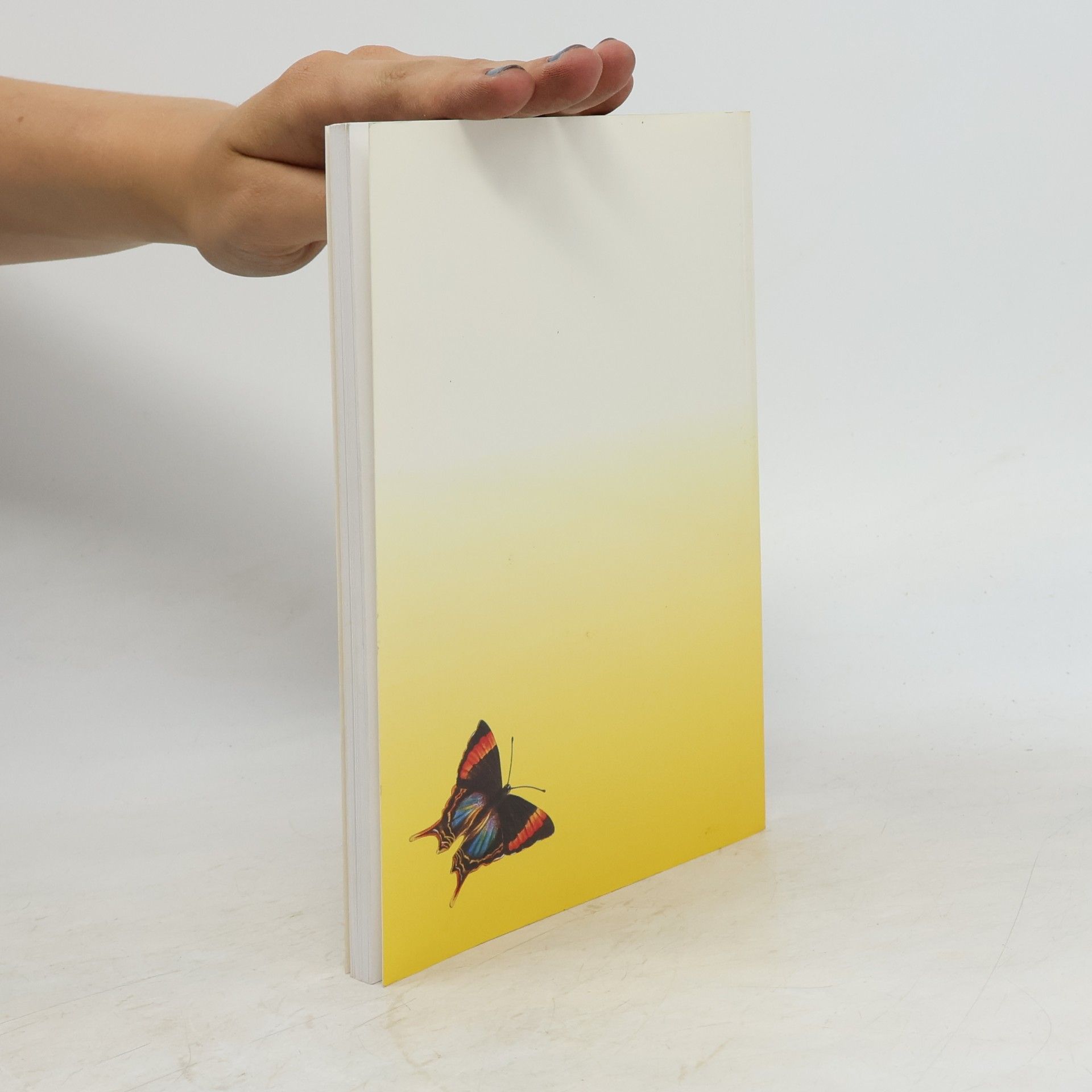 Collectif d'auteurs Rund um den Globus