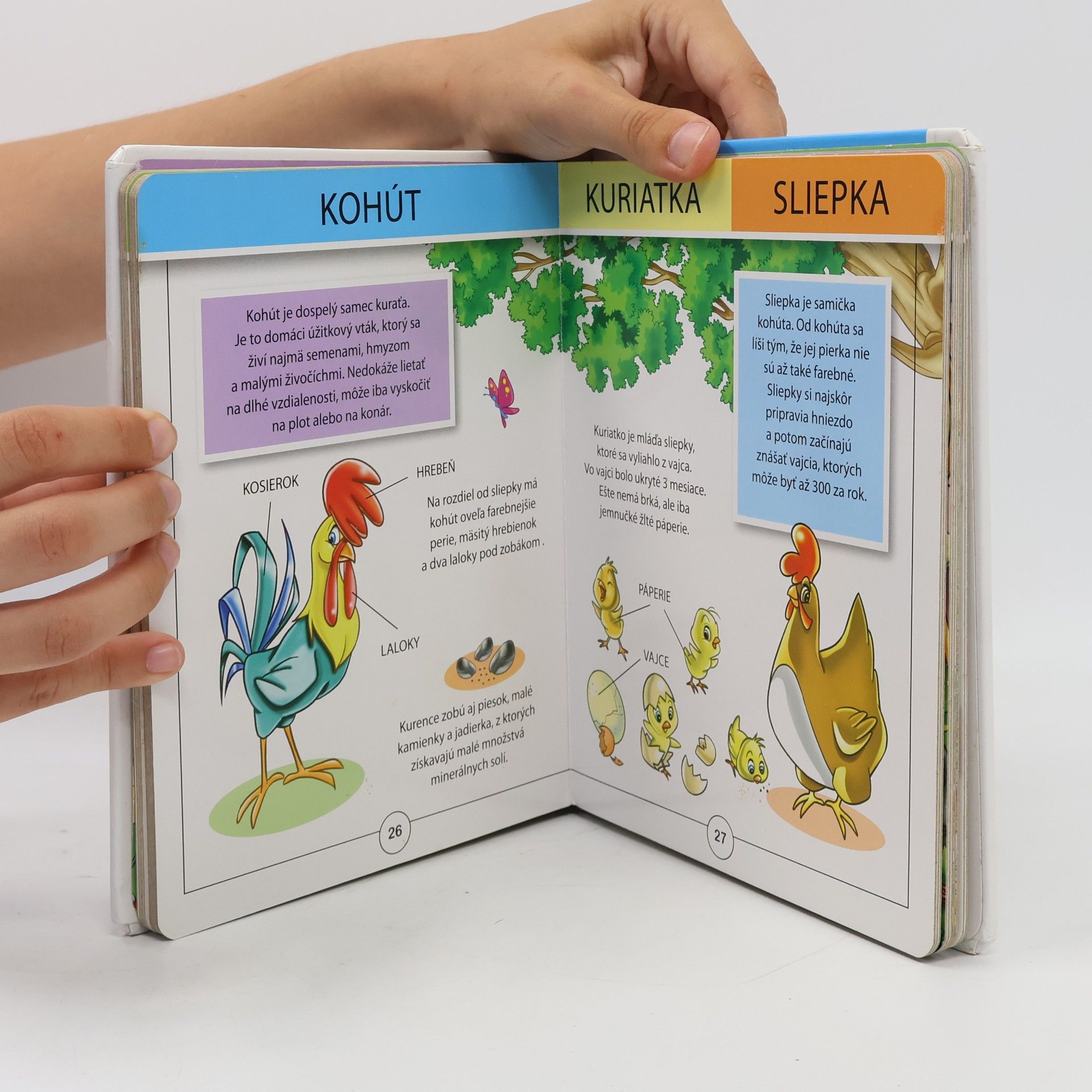 Autorenkollektiv Moja prvá kniha o farme