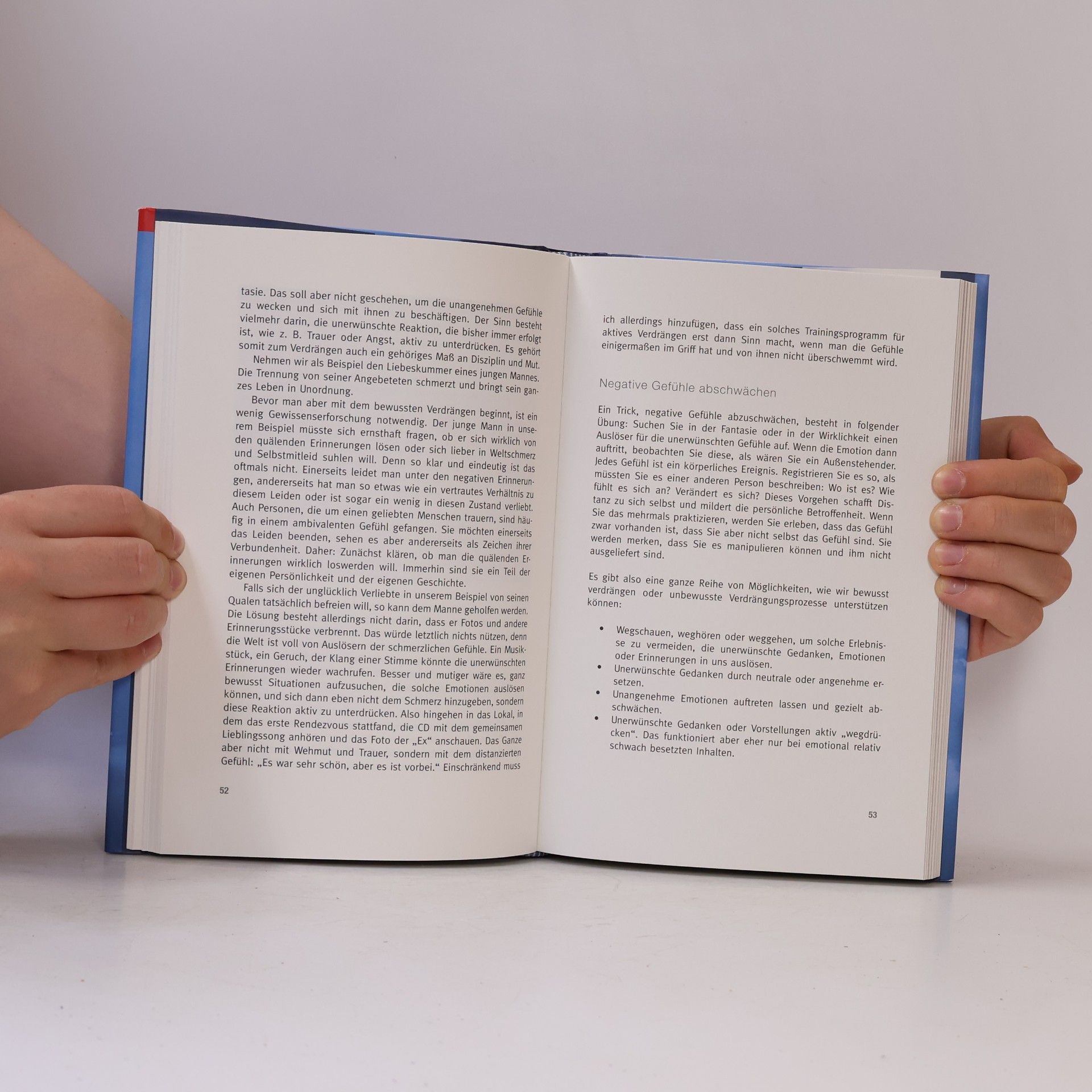 Louis Schützenhöfer Die Kunst des Verdrängens