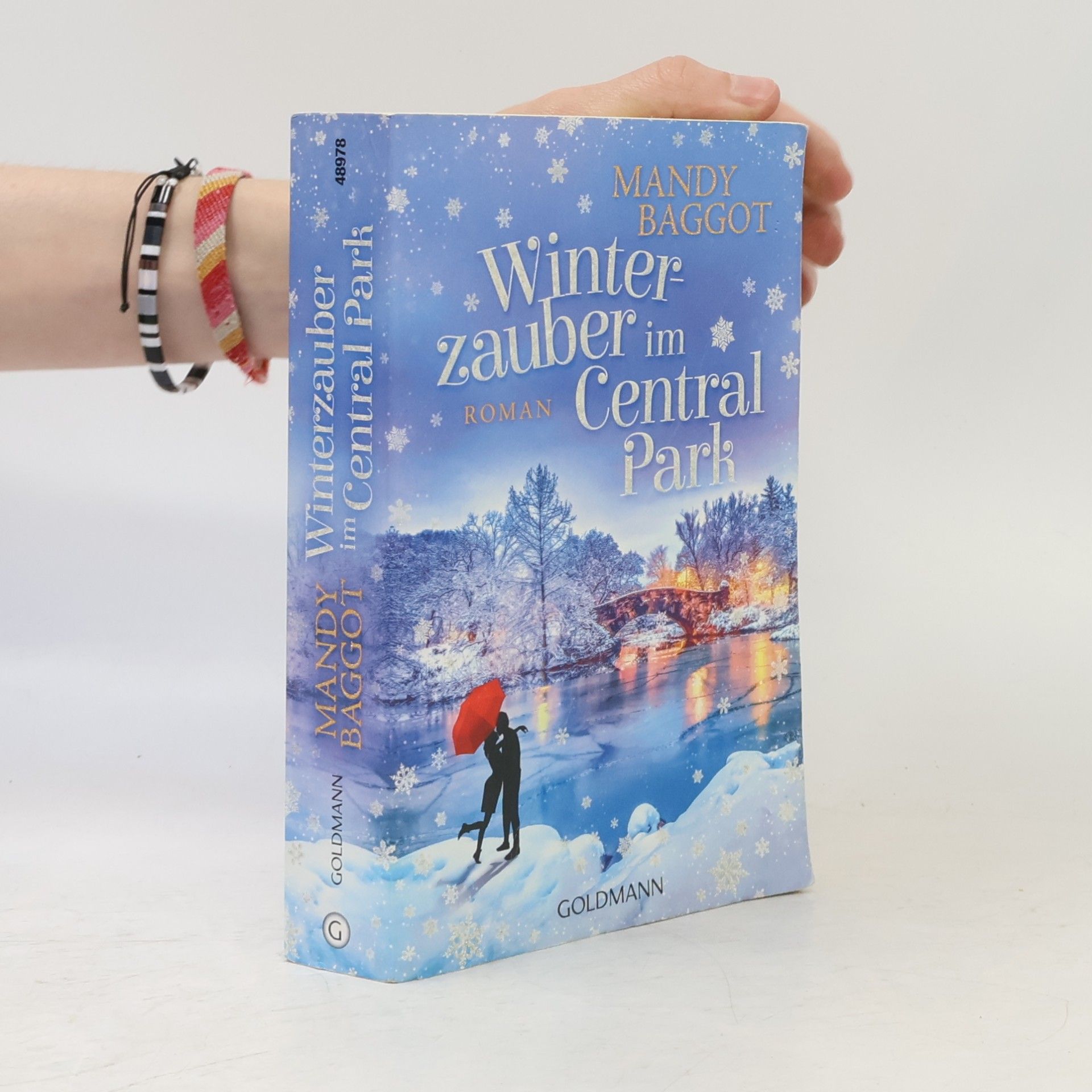 Mandy Baggot Winterzauber im Central Park
