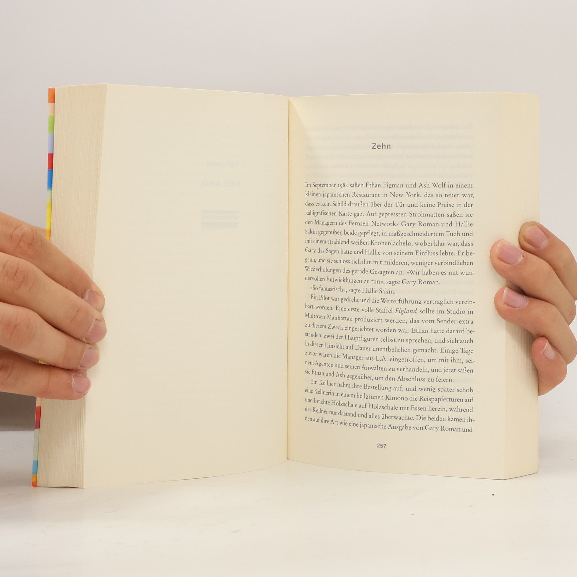 Meg Wolitzer Die Interessanten