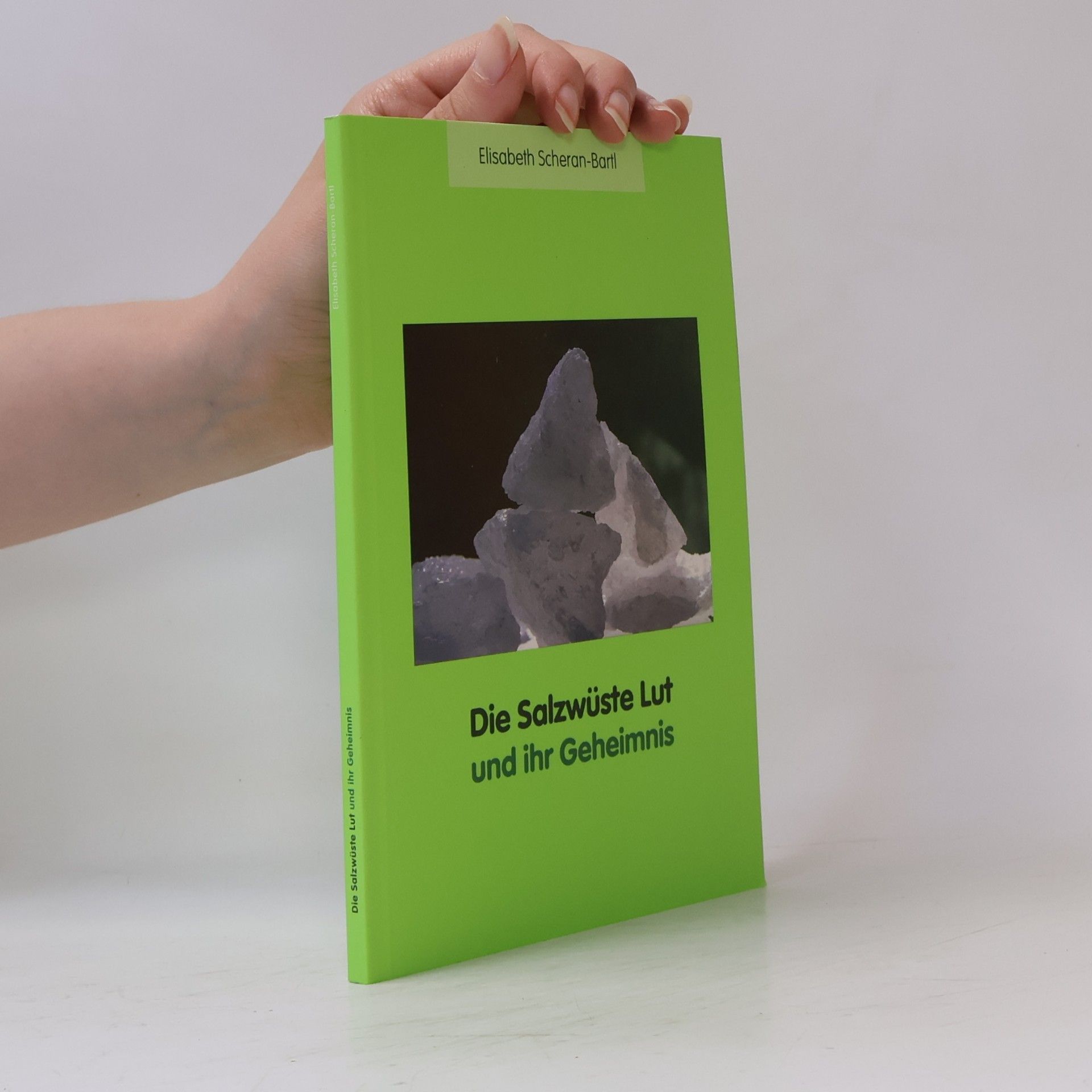 Elisabeth Scheran-Bartl Die Salzwüste Lut und ihr Geheimnis