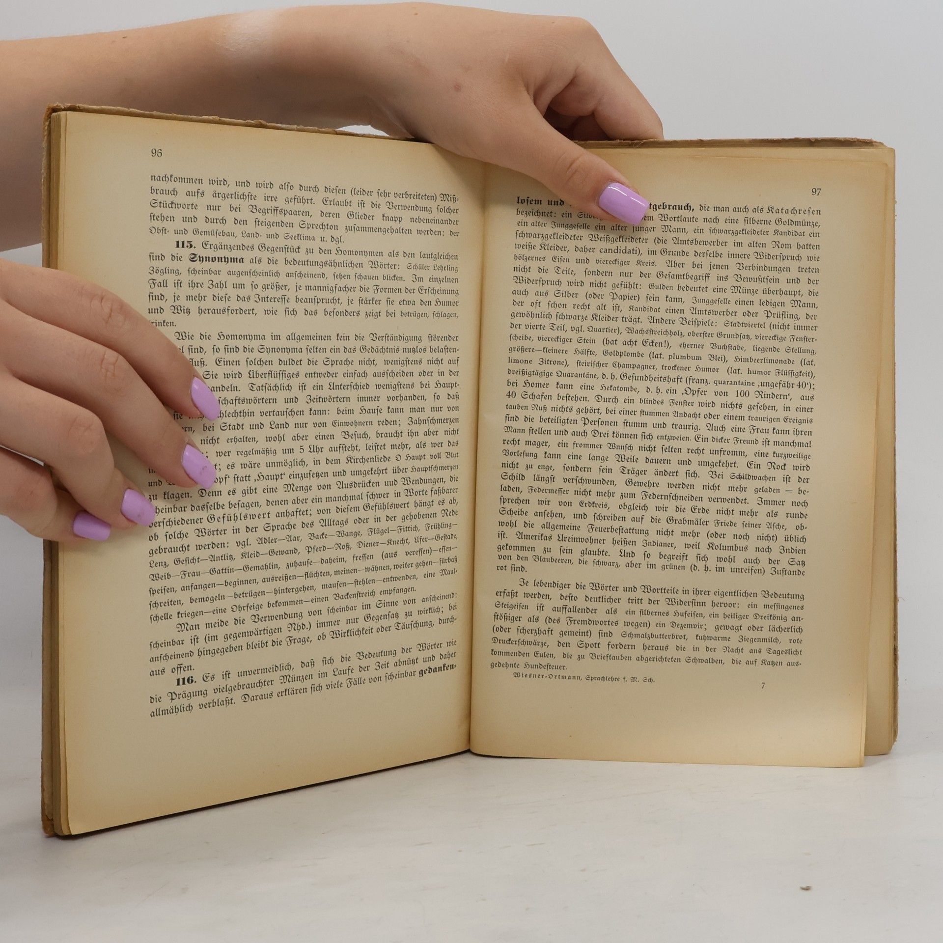 Johann Wiesner Deutsche Sprachlehre für Mittelschulen