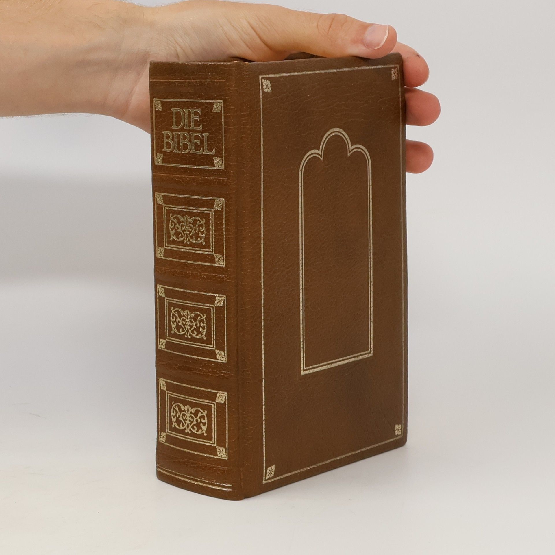 Vinzenz Hamp Die Bibel