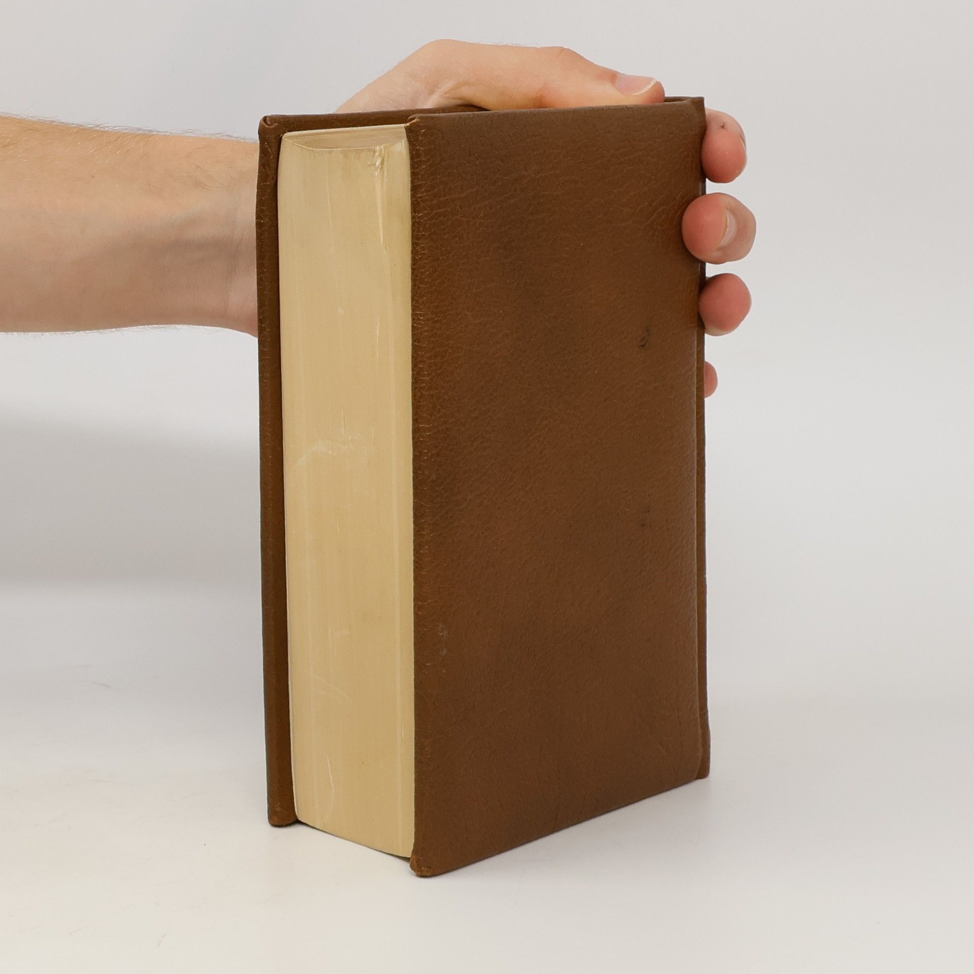 Vinzenz Hamp Die Bibel