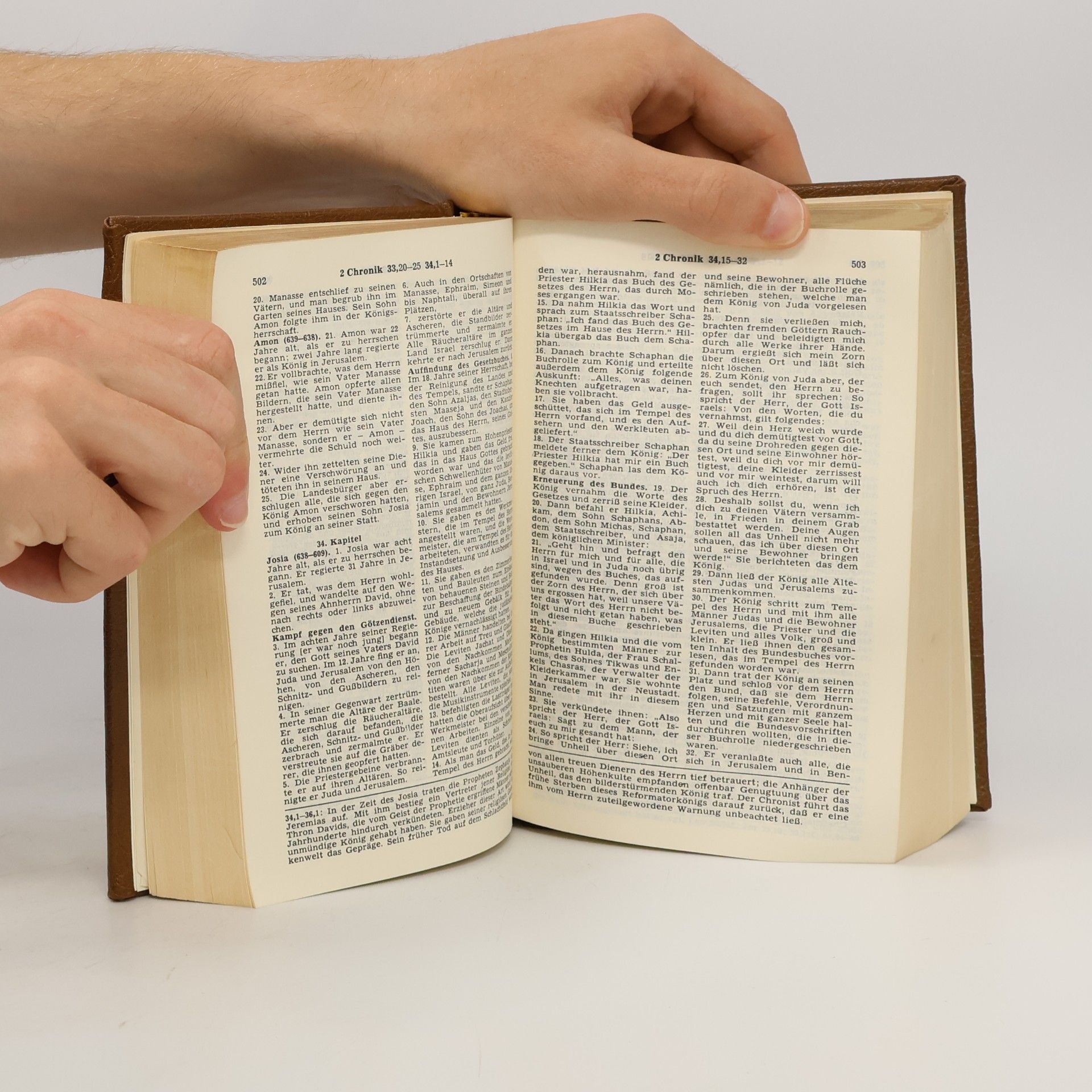 Vinzenz Hamp Die Bibel