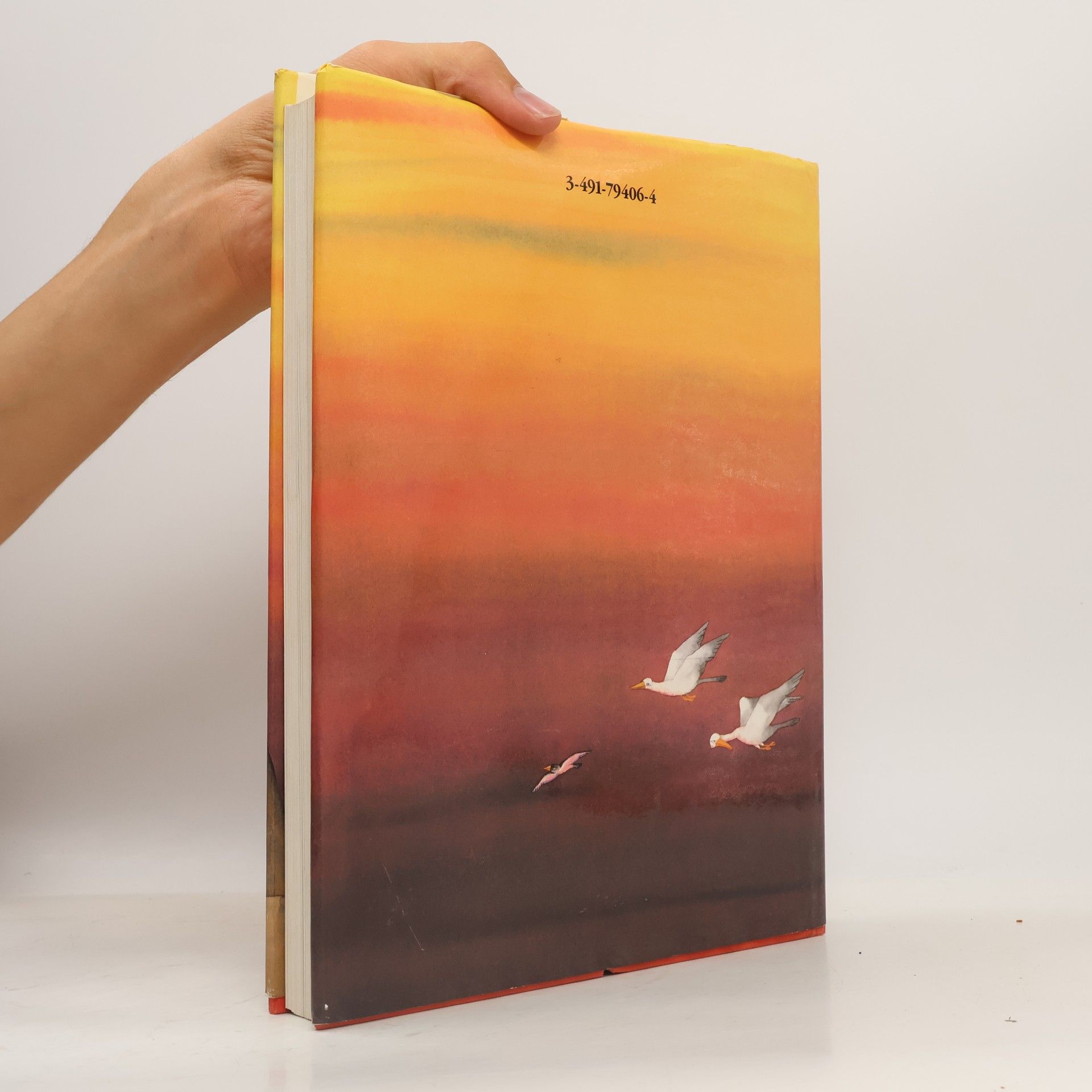 Autorenkollektiv Die neue Patmos Bibel