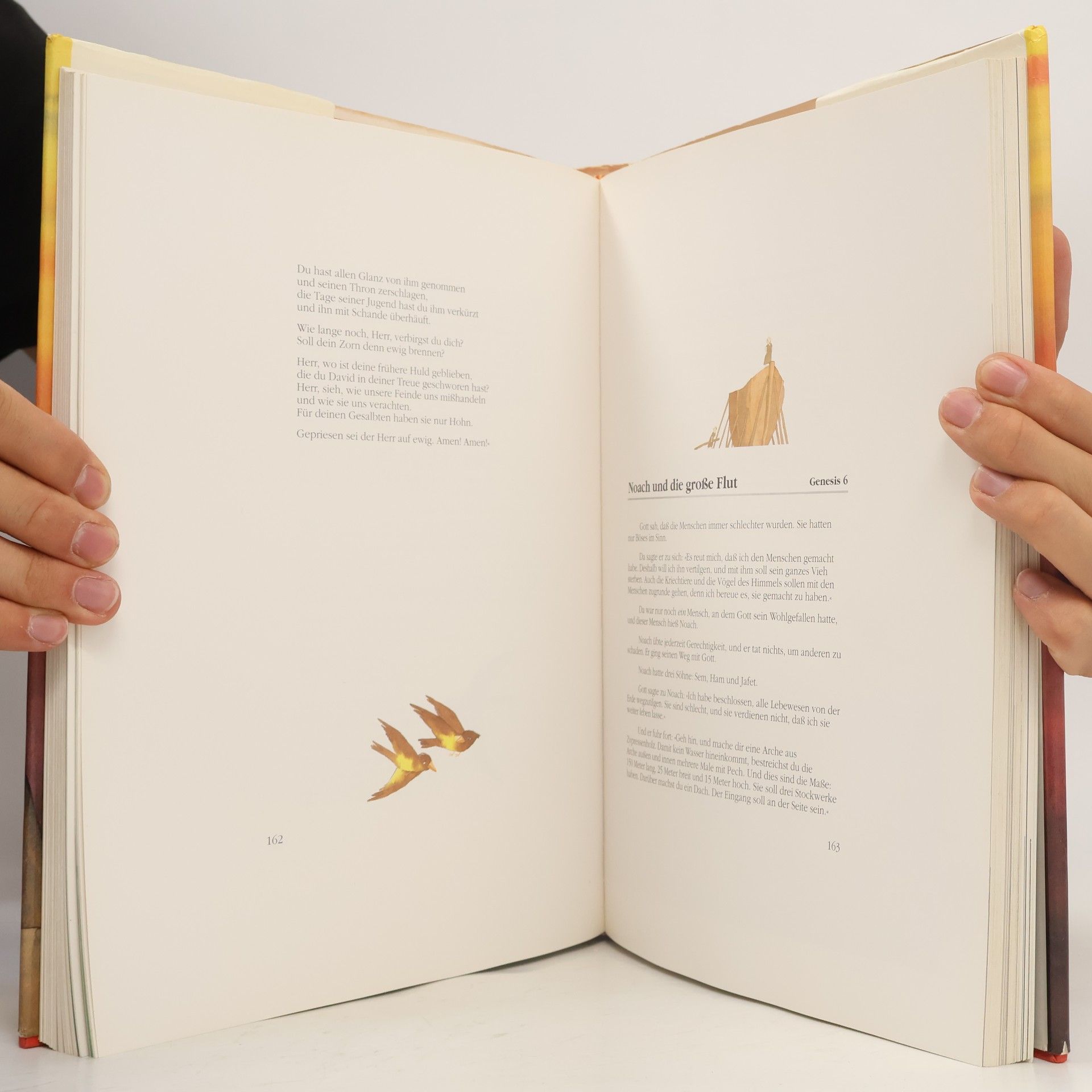Autorenkollektiv Die neue Patmos Bibel