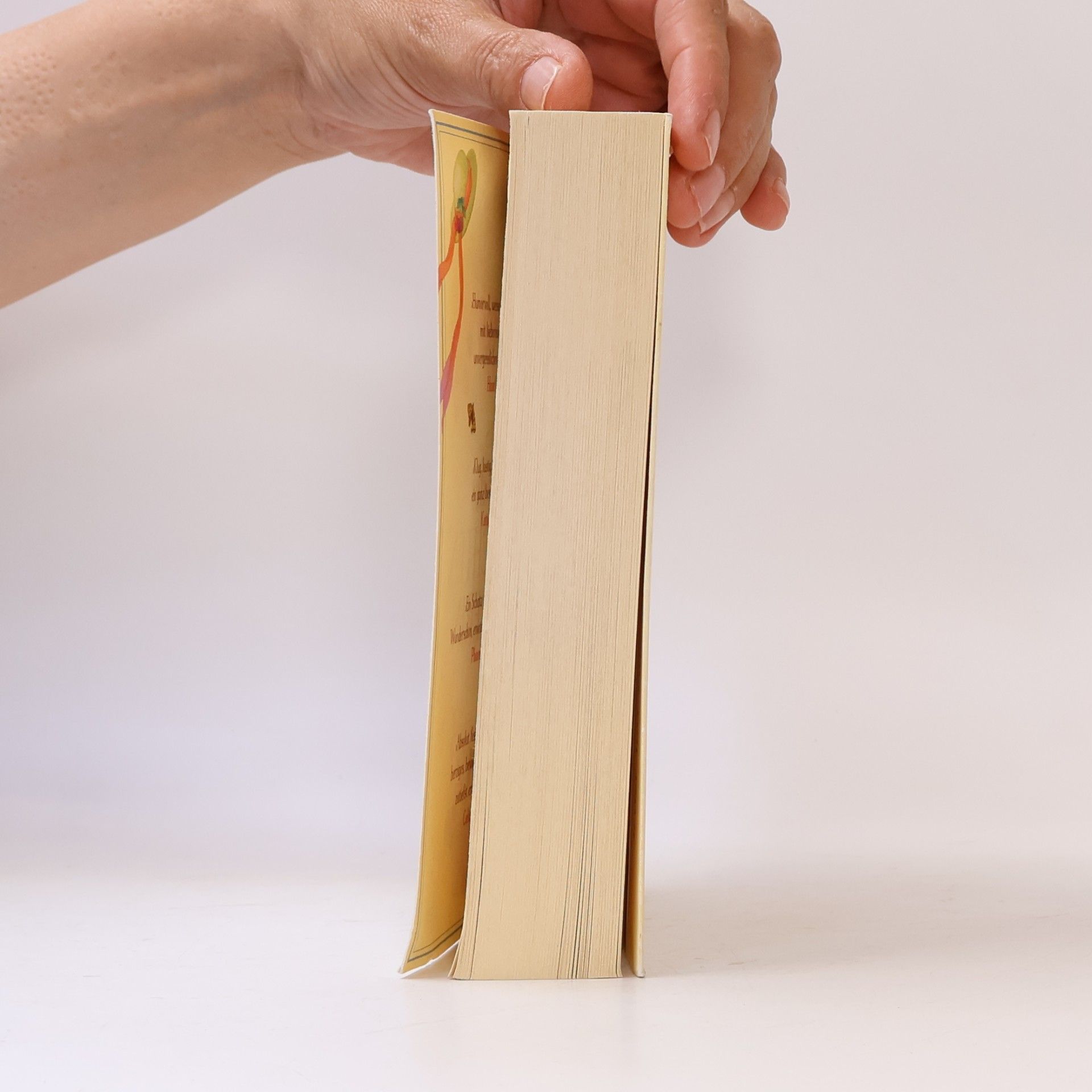 Sally Page Das Glück der Geschichtensammlerin