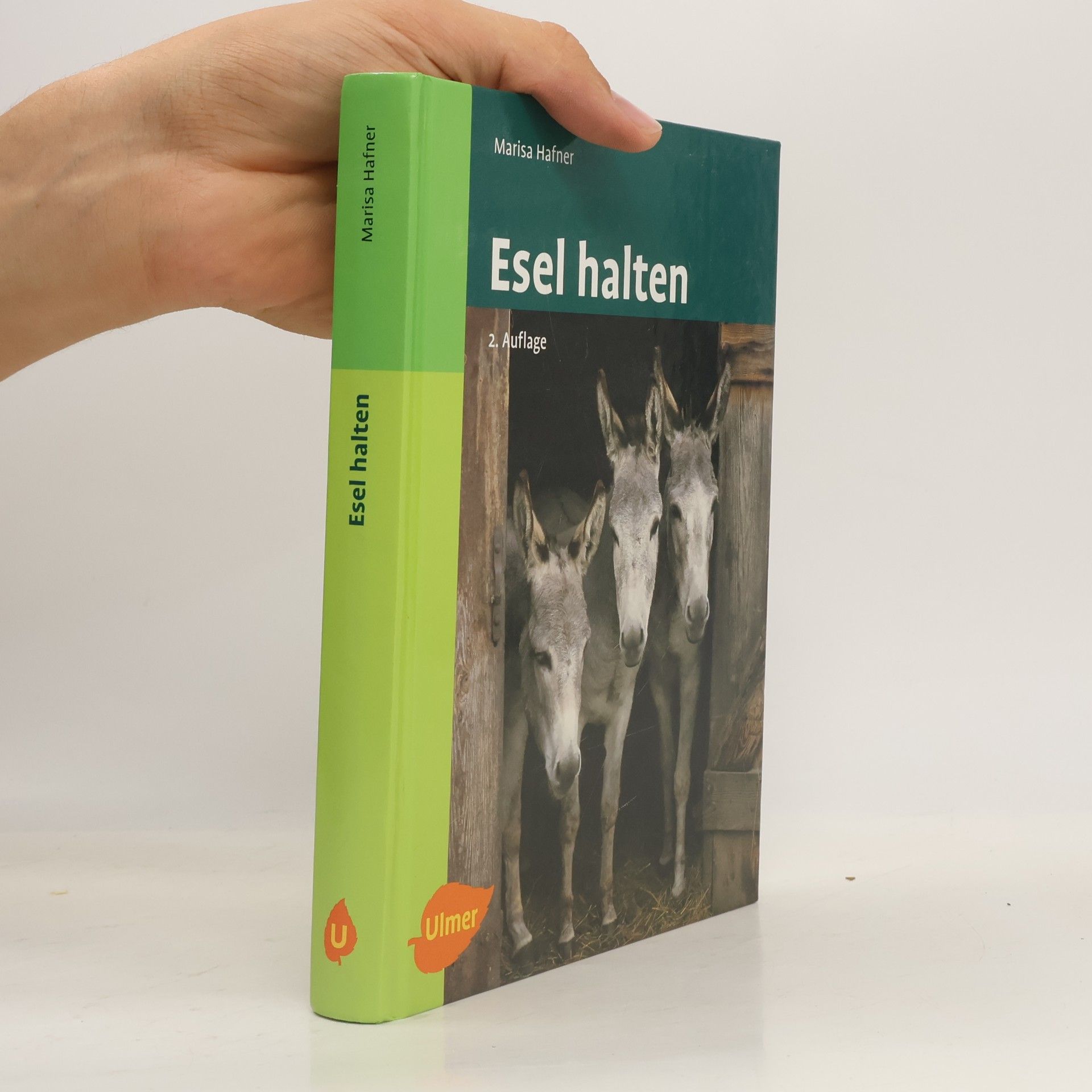 Marisa Hafner Esel halten