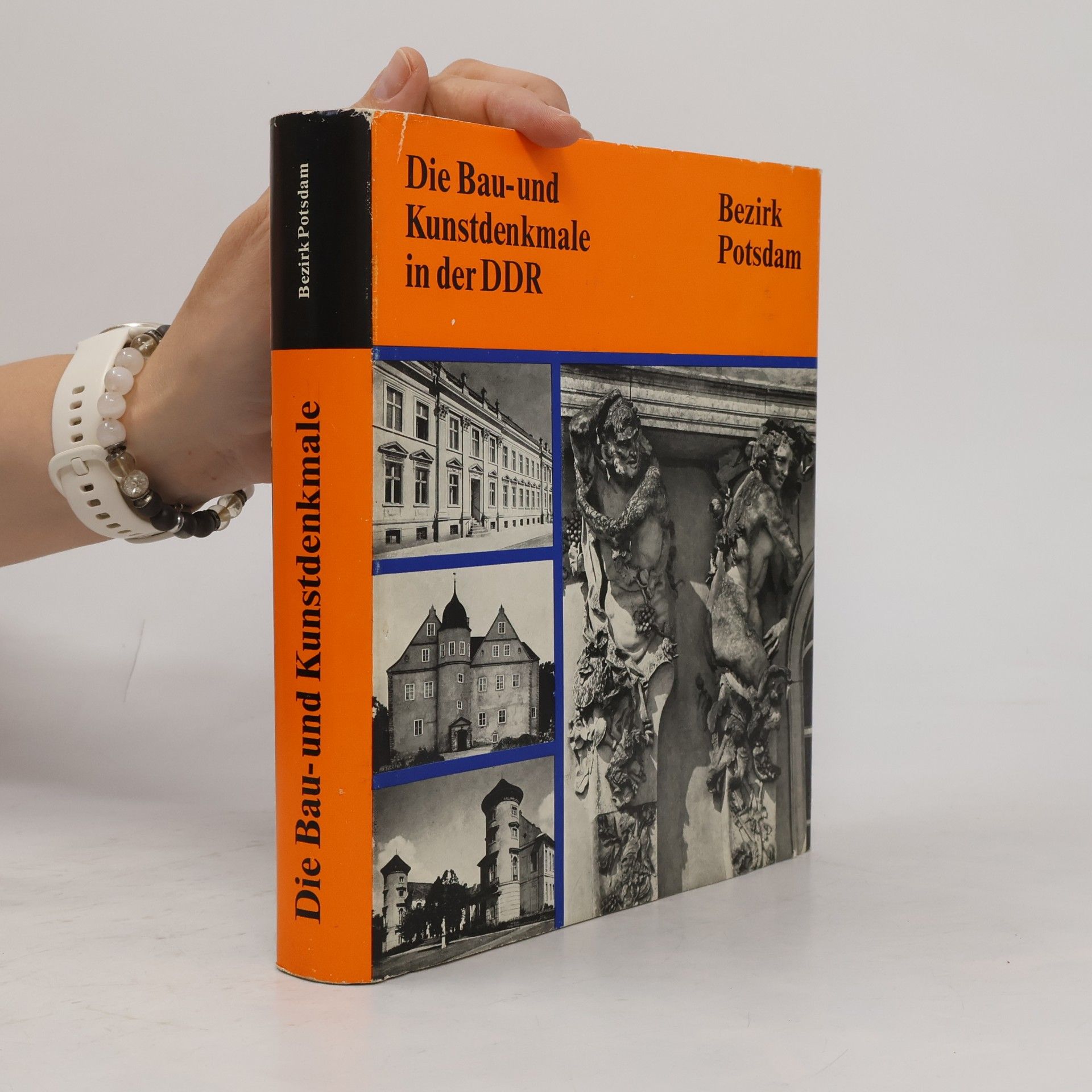 Kolektiv autorů Die Bau und Kunstdenkmale in der DDR. Bezirk Potsdam