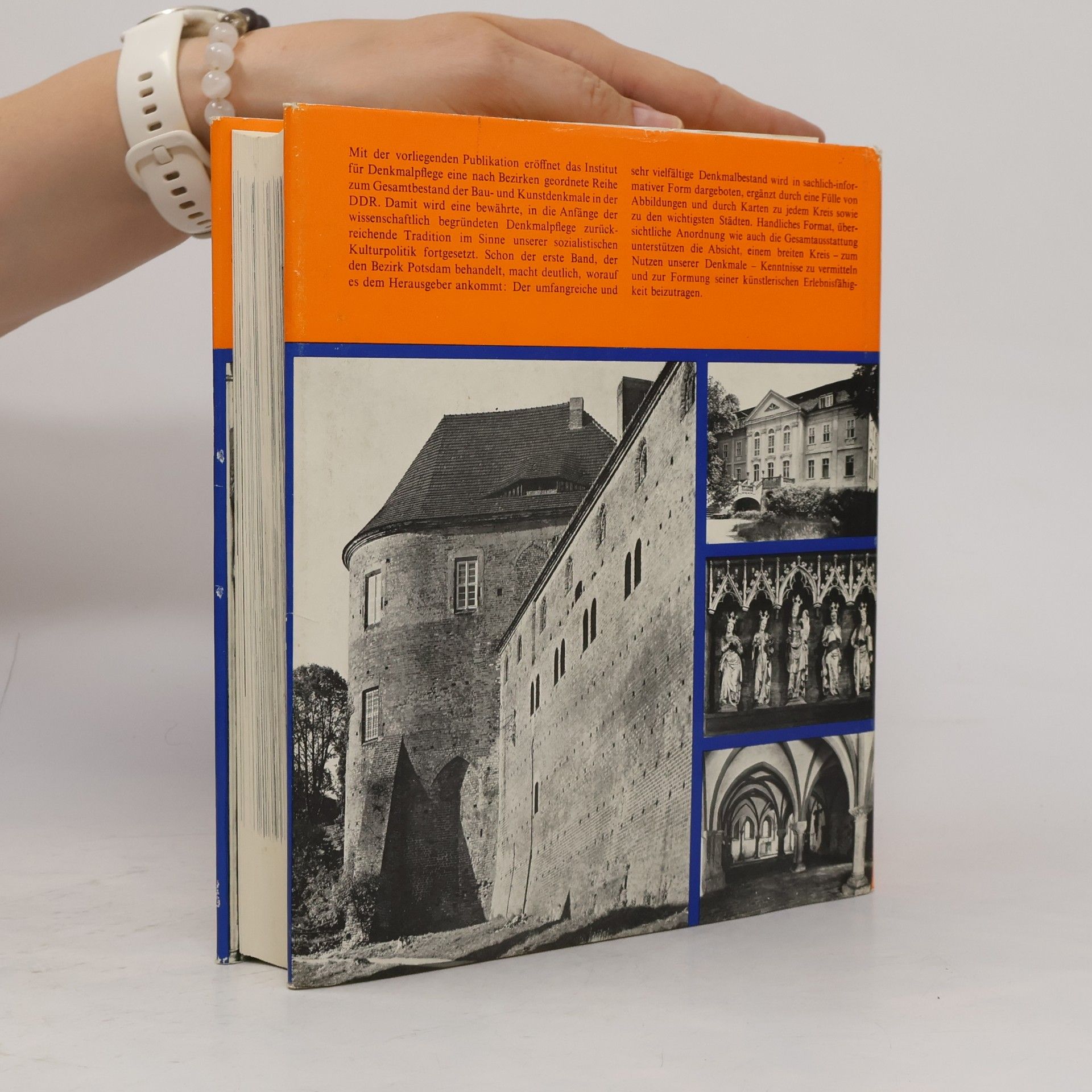 AA.VV. Die Bau und Kunstdenkmale in der DDR. Bezirk Potsdam