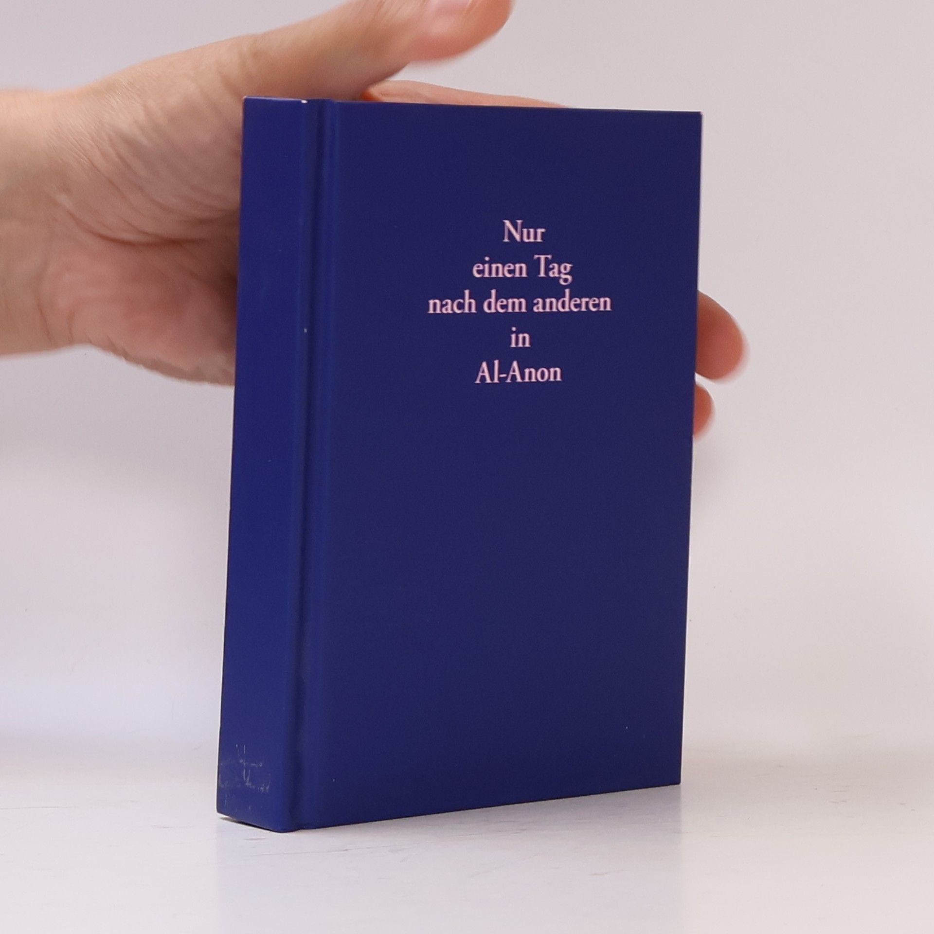 Autorenkollektiv Nur einen Tag nach dem anderen in Al-Anon