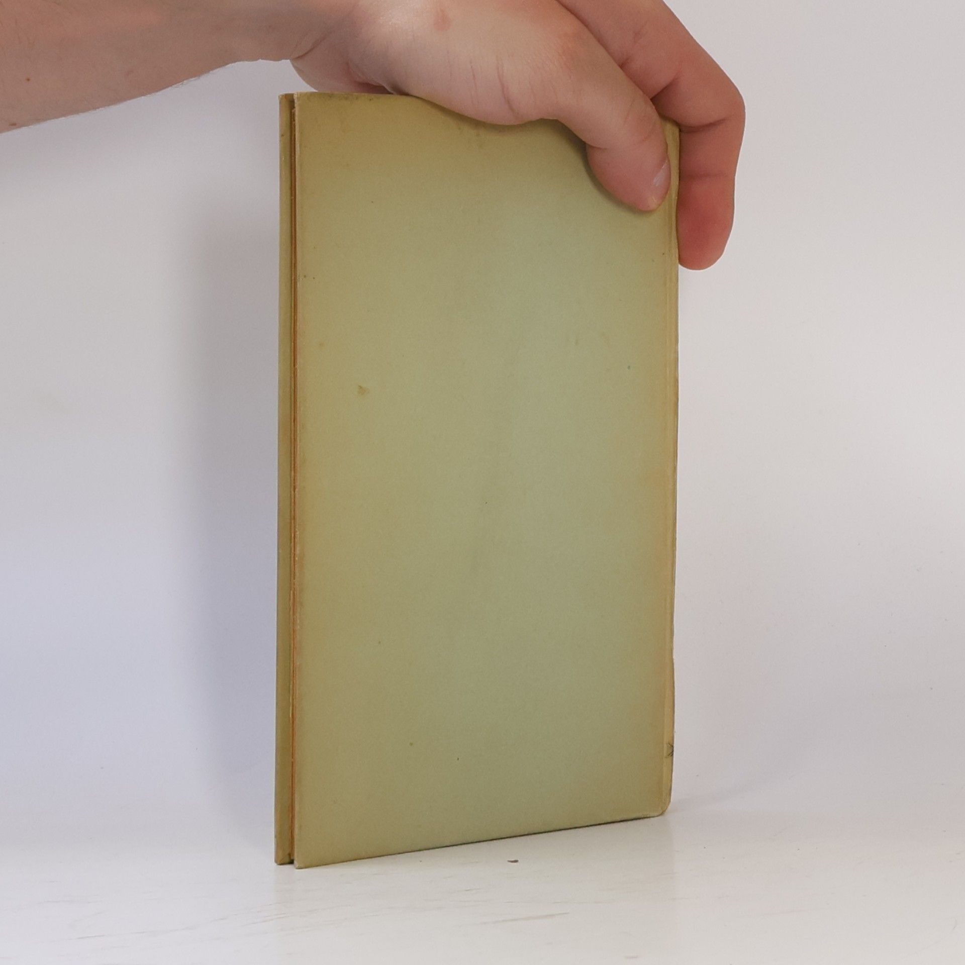 Rudolf Georg Binding Angelucia