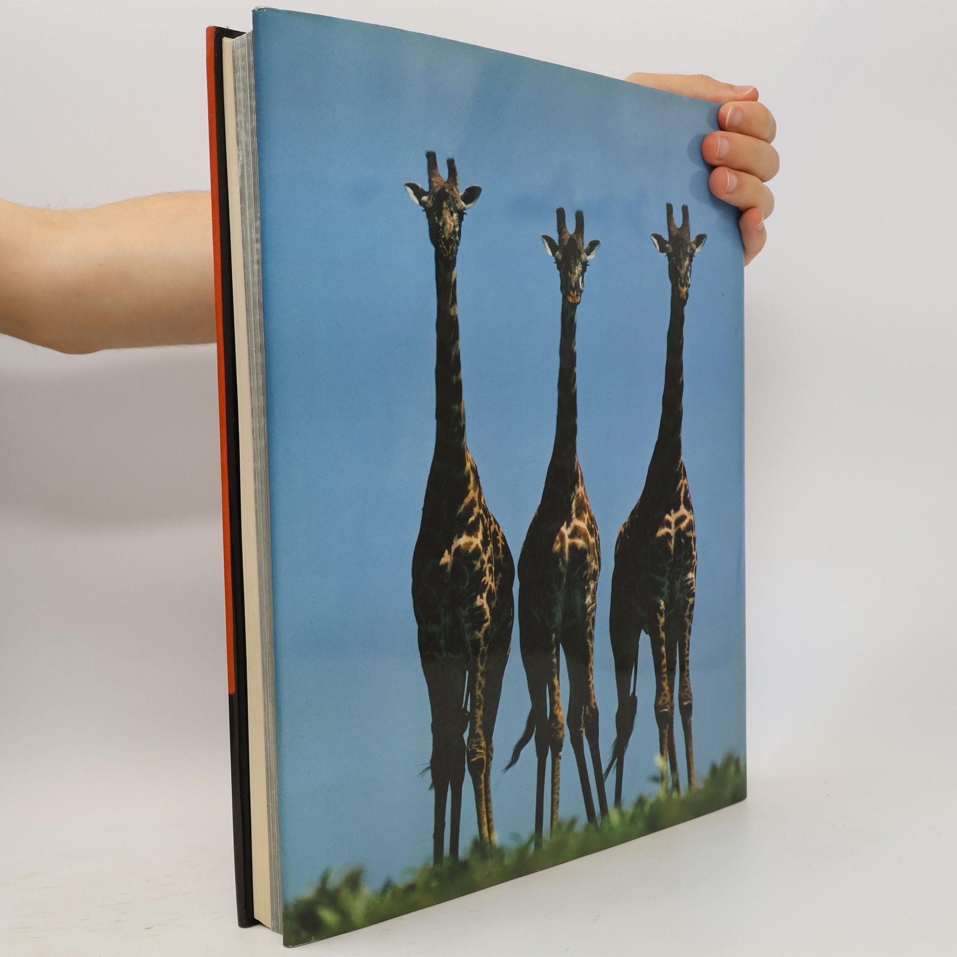 Reinhard Kunkel Abenteuer Serengeti