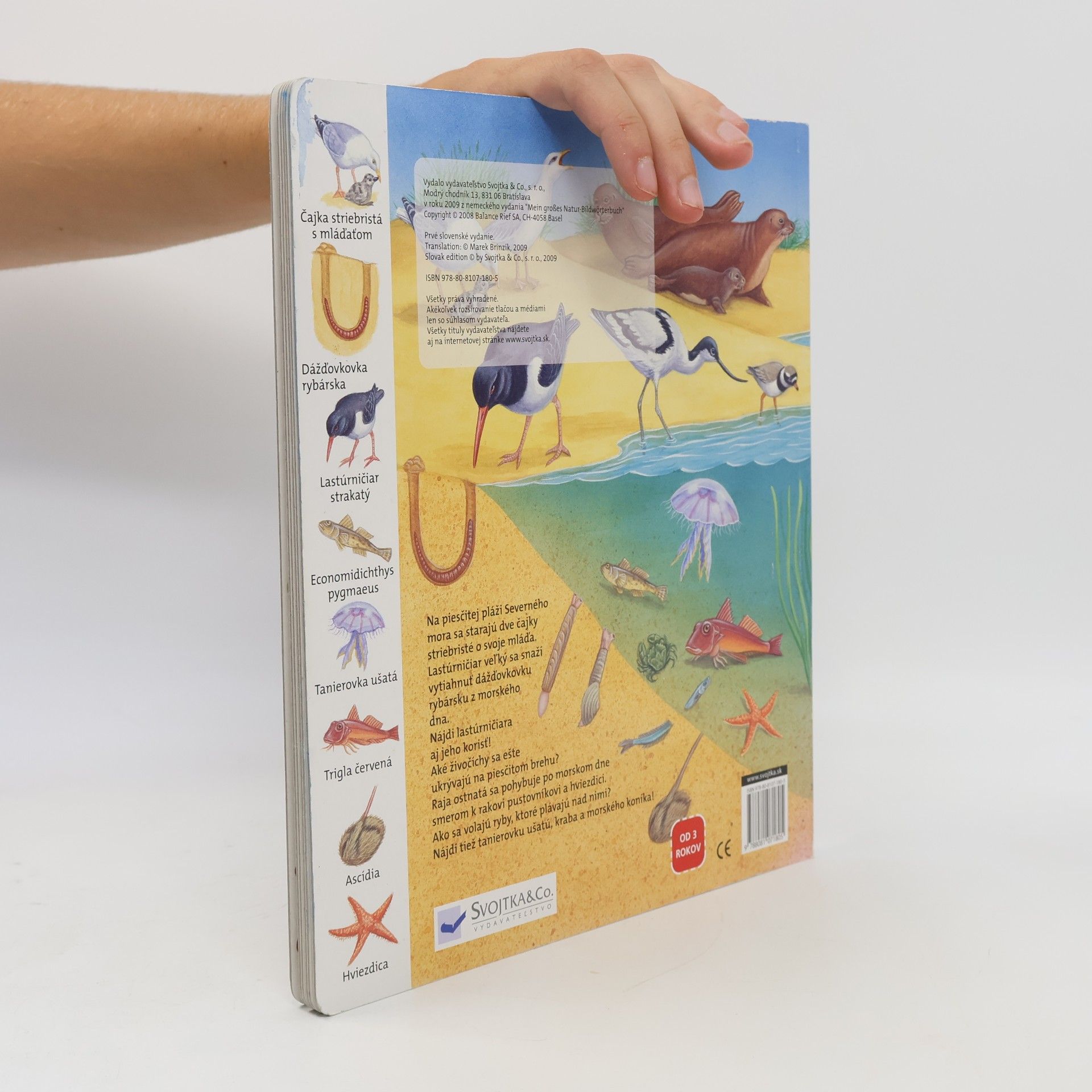 Autorenkollektiv Moja prvá obrázková knižka - More