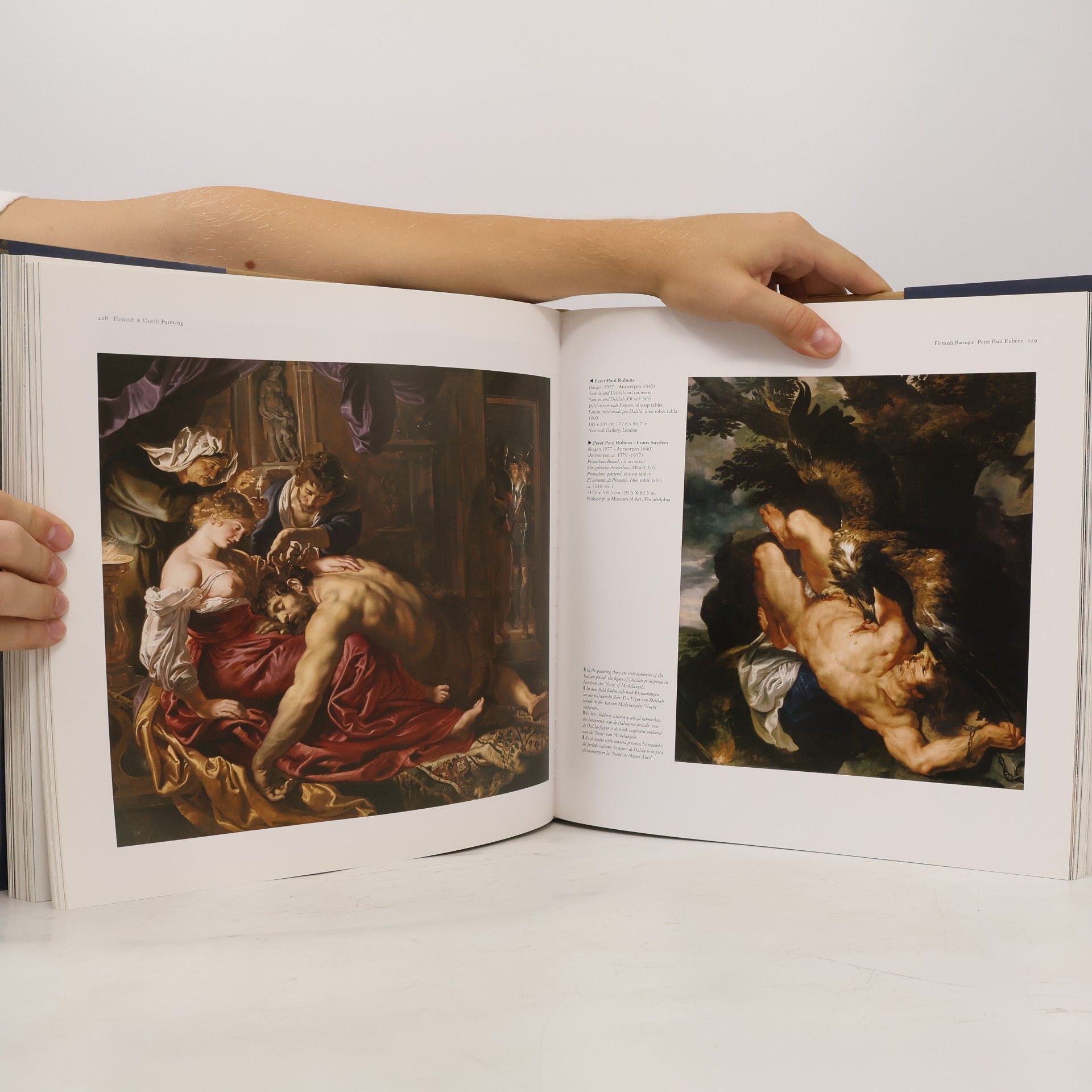 Silvia Brunovská Flemish and Dutch Painting