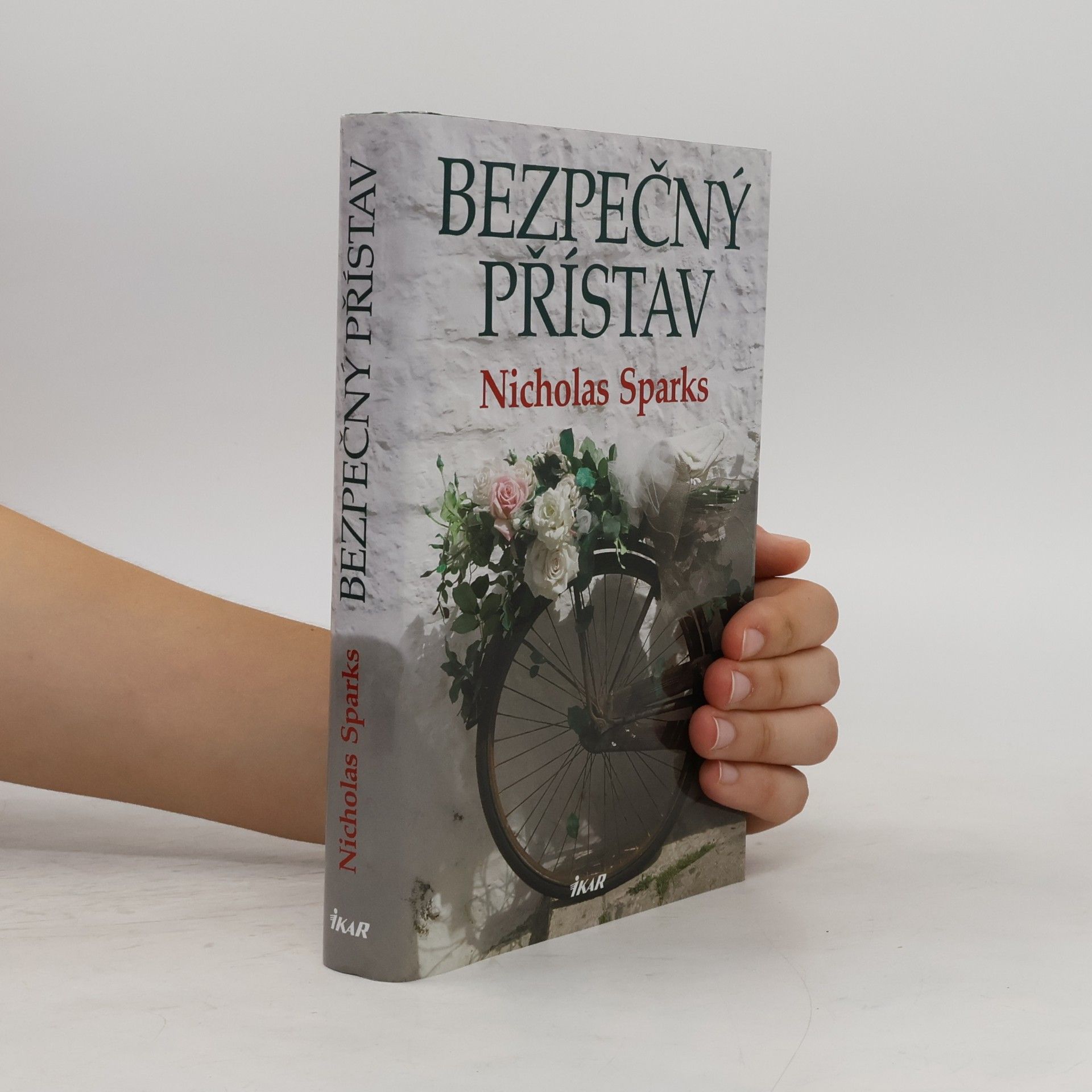Nicholas Sparks Bezpečný přístav