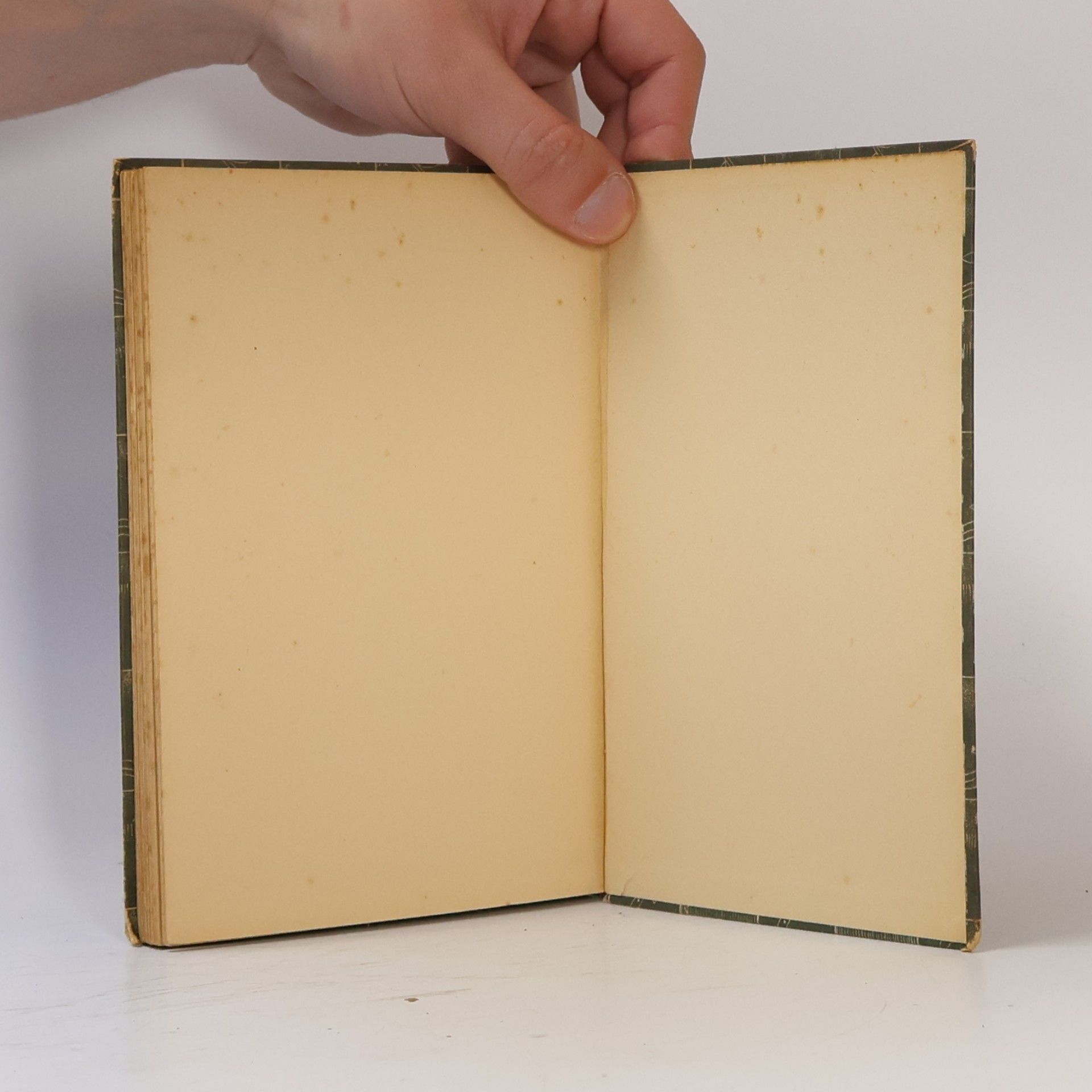 Rudolf Georg Binding Der Opfergang