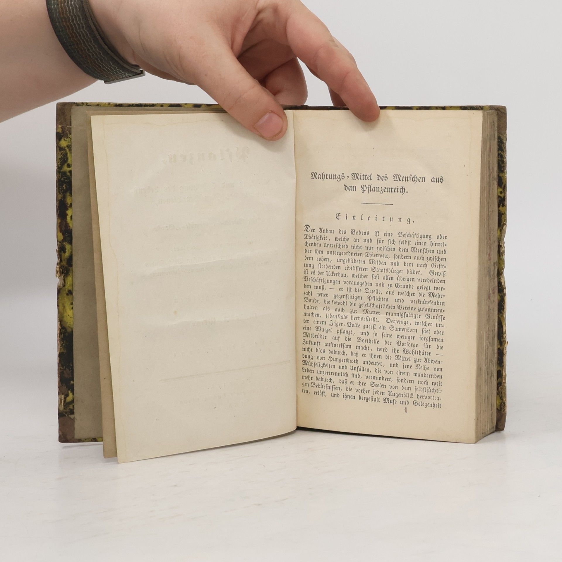 Autores varios Pflanzen