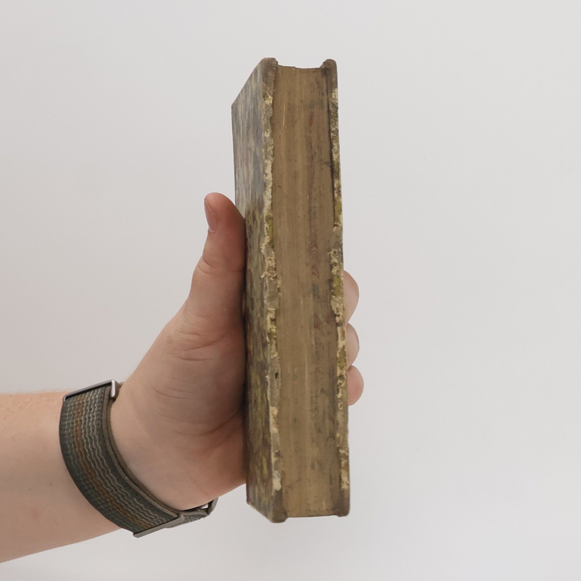 Autores varios Pflanzen