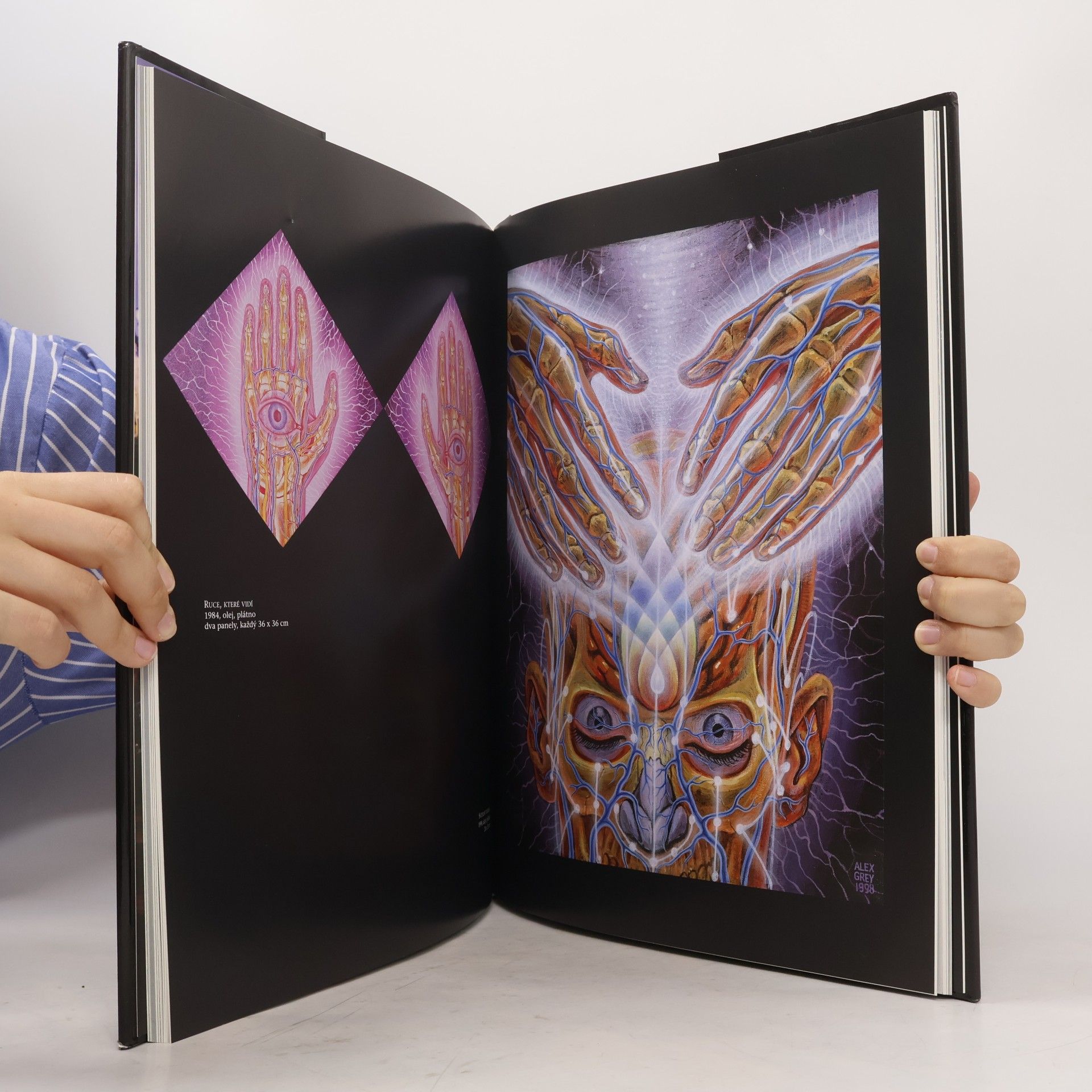 Alex Grey Transfigurace
