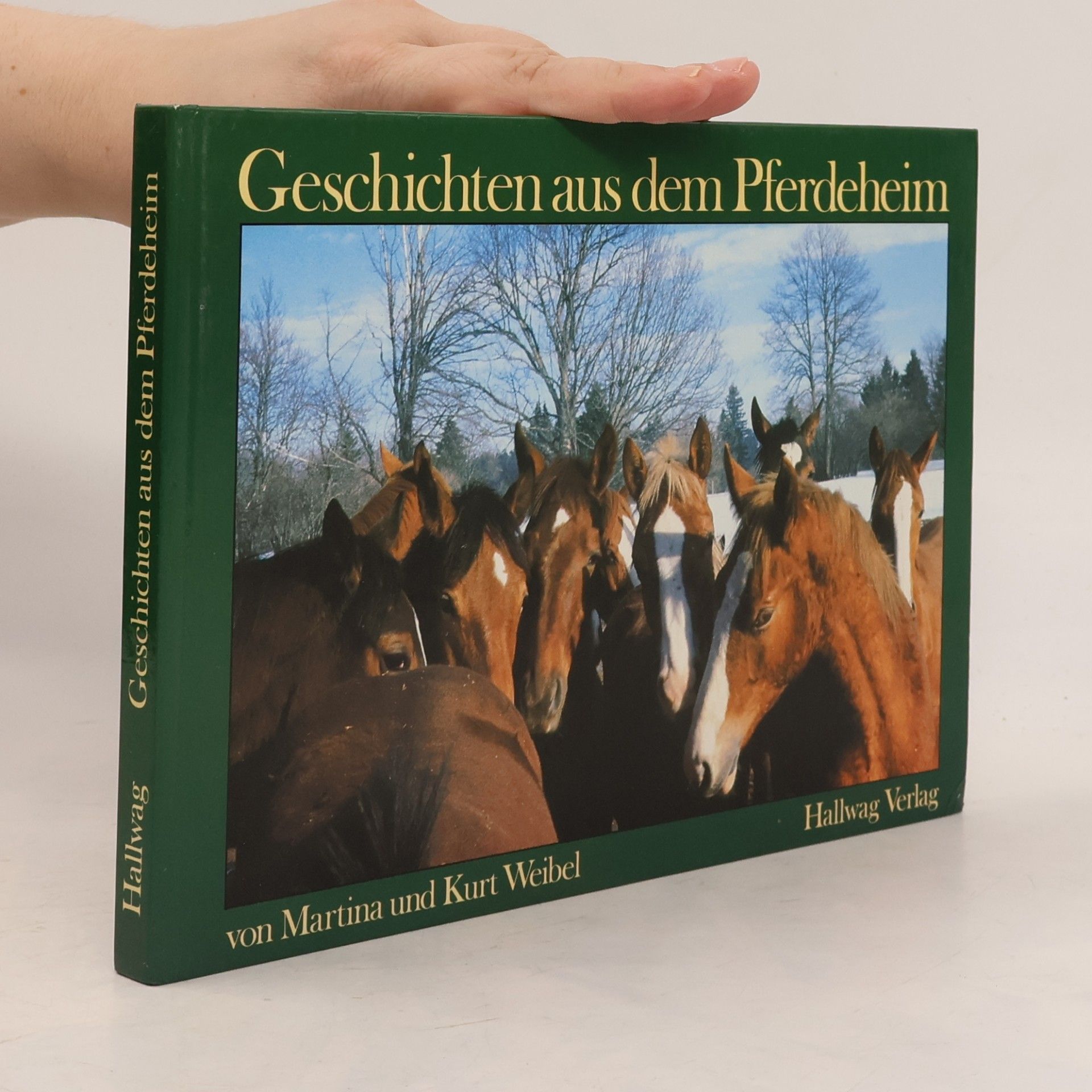 Martina Weibel Geschichten aus dem Pferdeheim