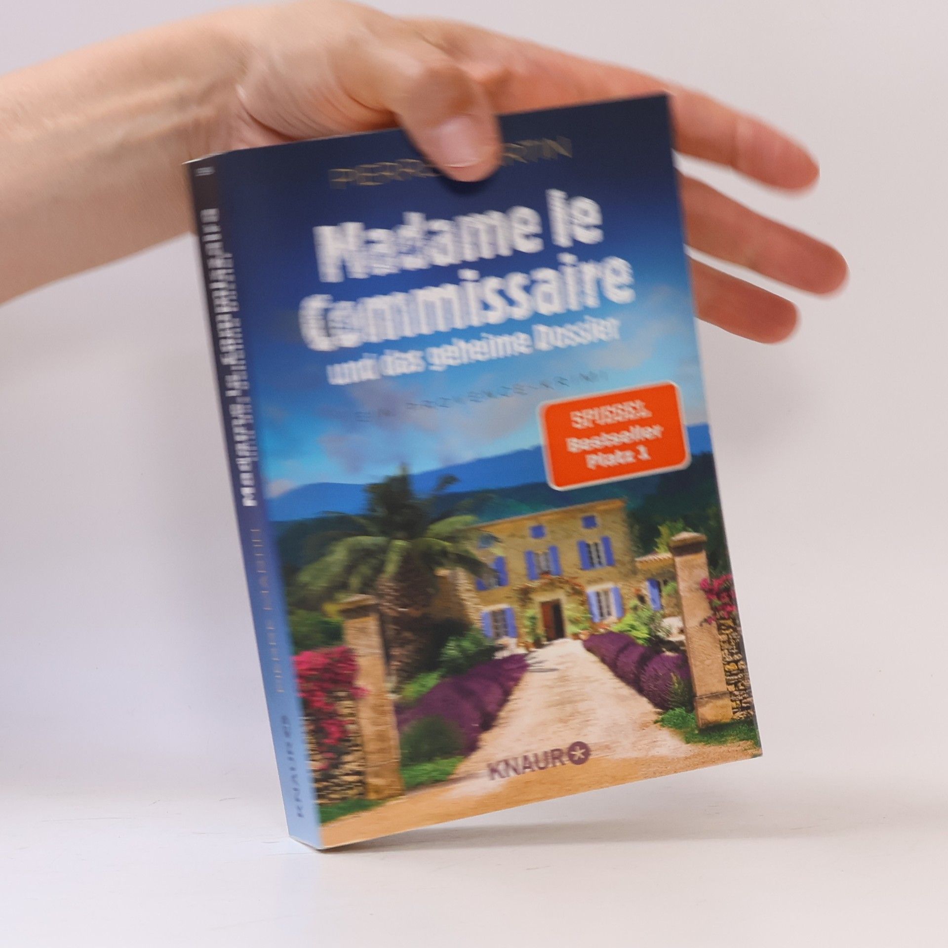 Madame le Commissaire und das geheime Dossier
