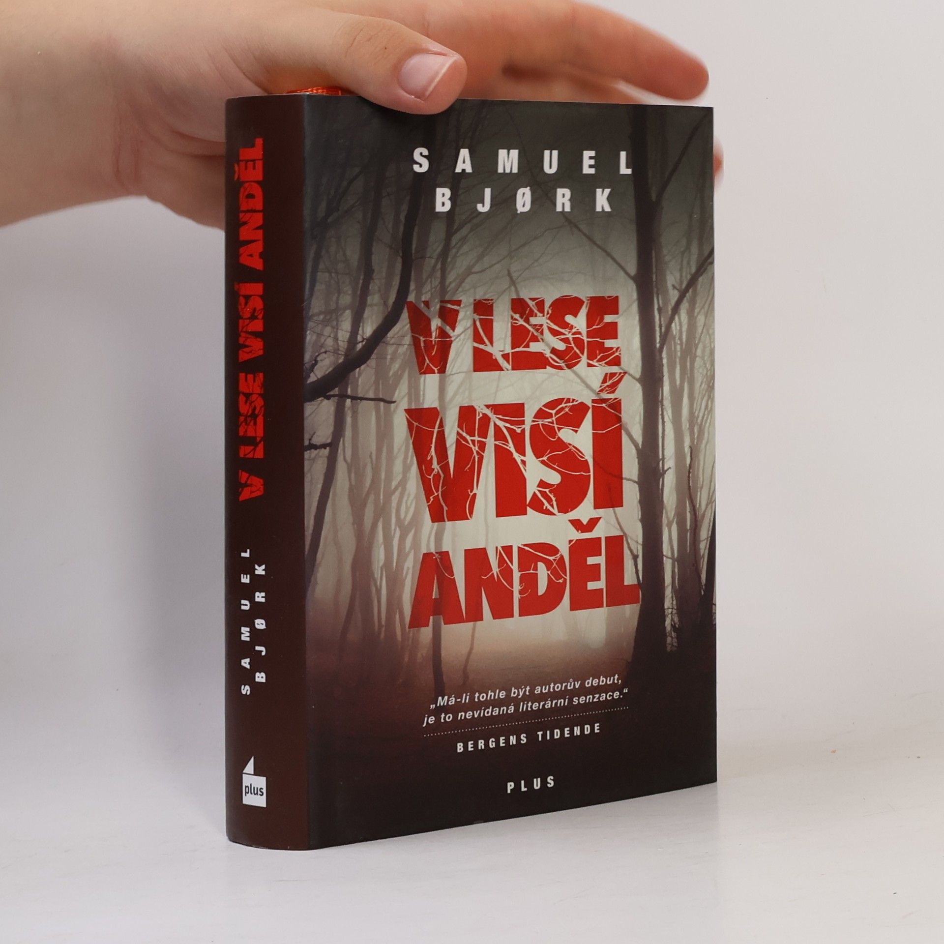 Samuel Bjork V lese visí anděl