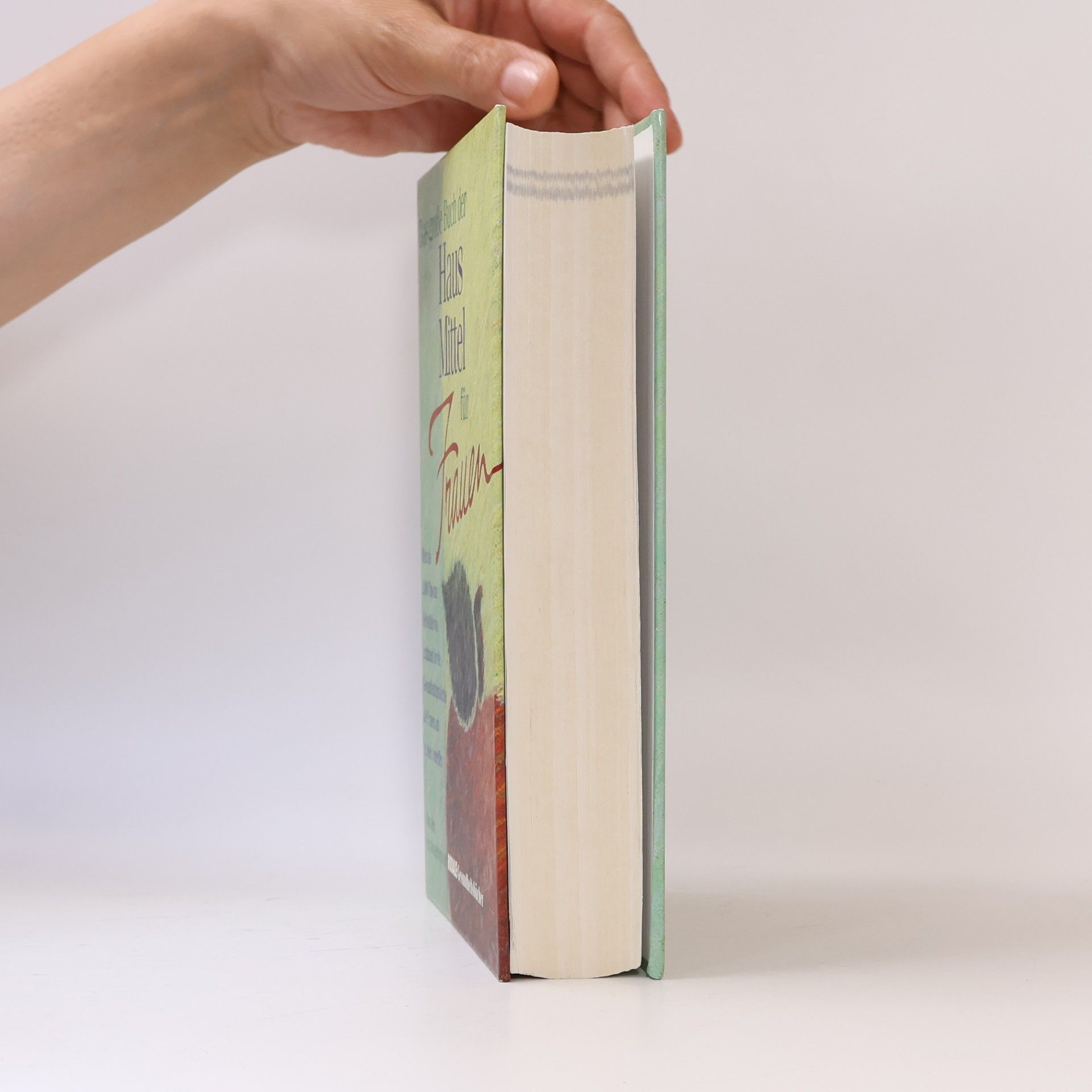AA.VV. Das grosse Buch der Haus Mittel für Frauen