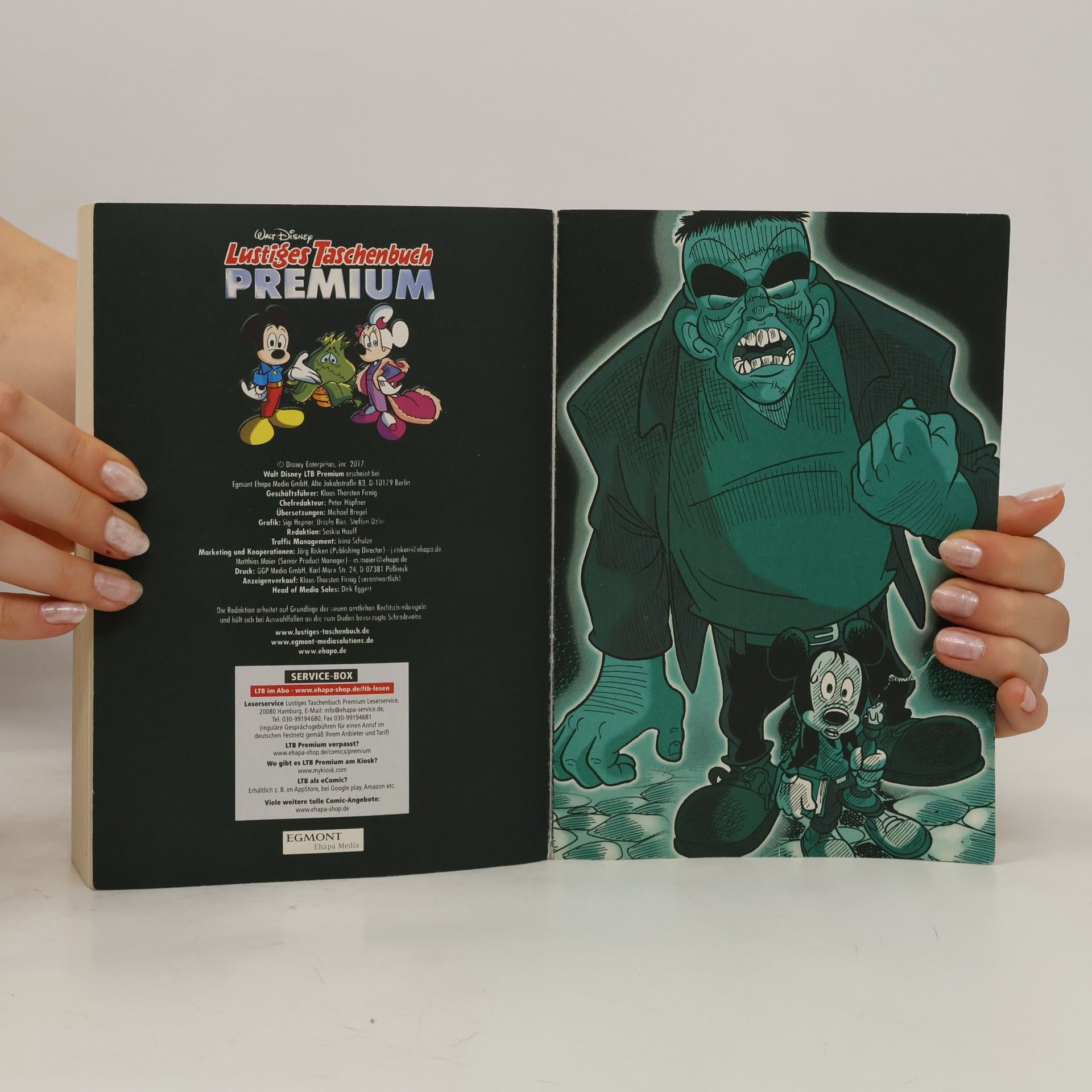 Walt Disney Lustiges Taschenbuch Premium 15. Horror mit Micky X