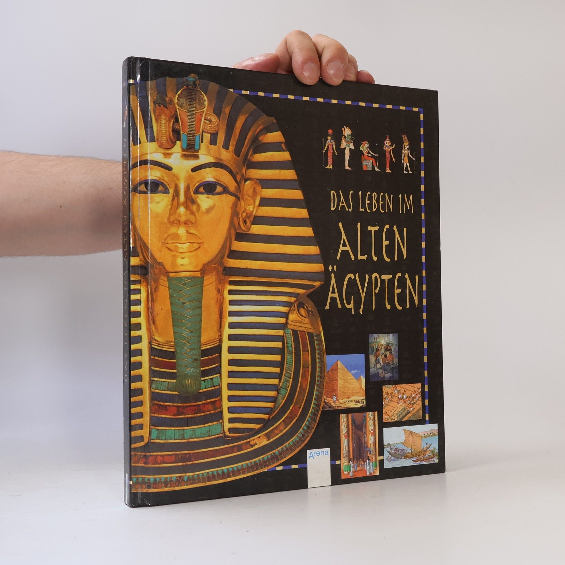 Lauren Brooke Das Leben im Alten Ägypten