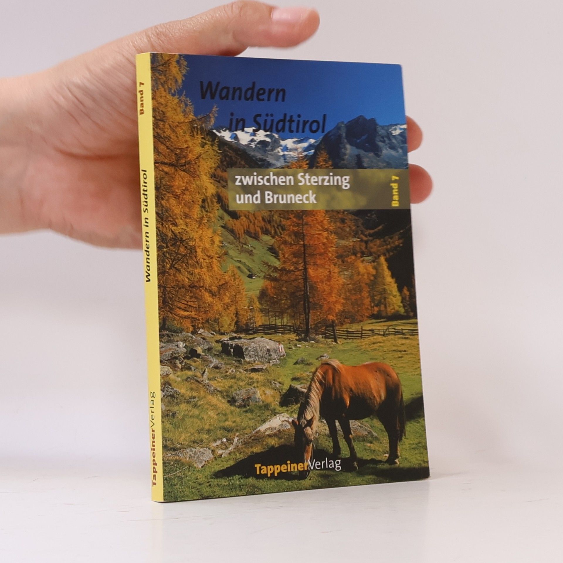Hans Kämmerer Tourenbuch Südtirol